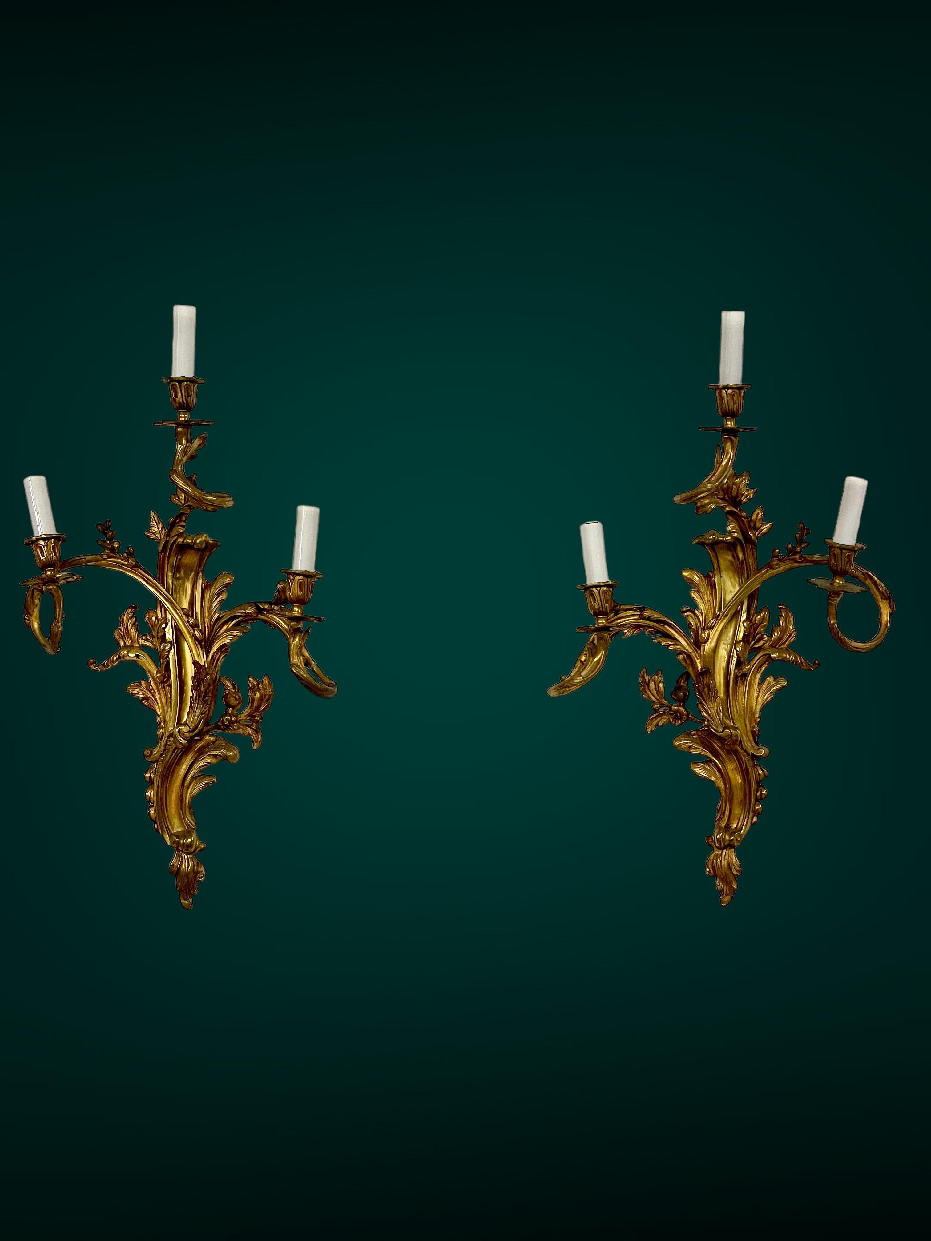 19th Century Pair of Large Louis XV Gilt Bronze Sconces For Sale 8