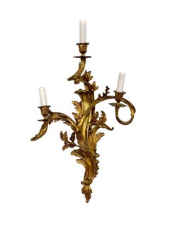 19th Century Pair of Large Louis XV Gilt Bronze Sconces