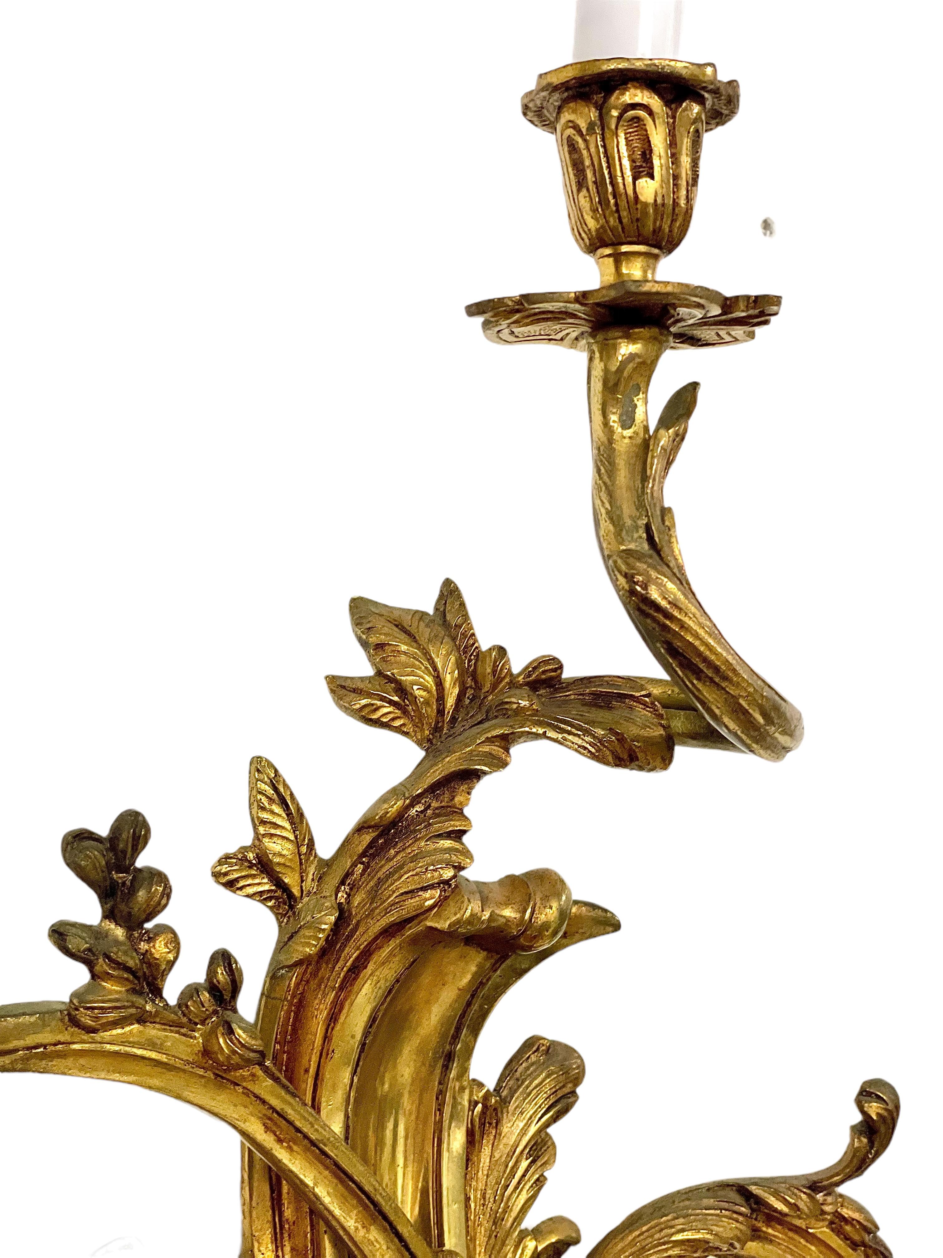 Rococo 19th Century Pair of Large Louis XV Gilt Bronze Sconces For Sale