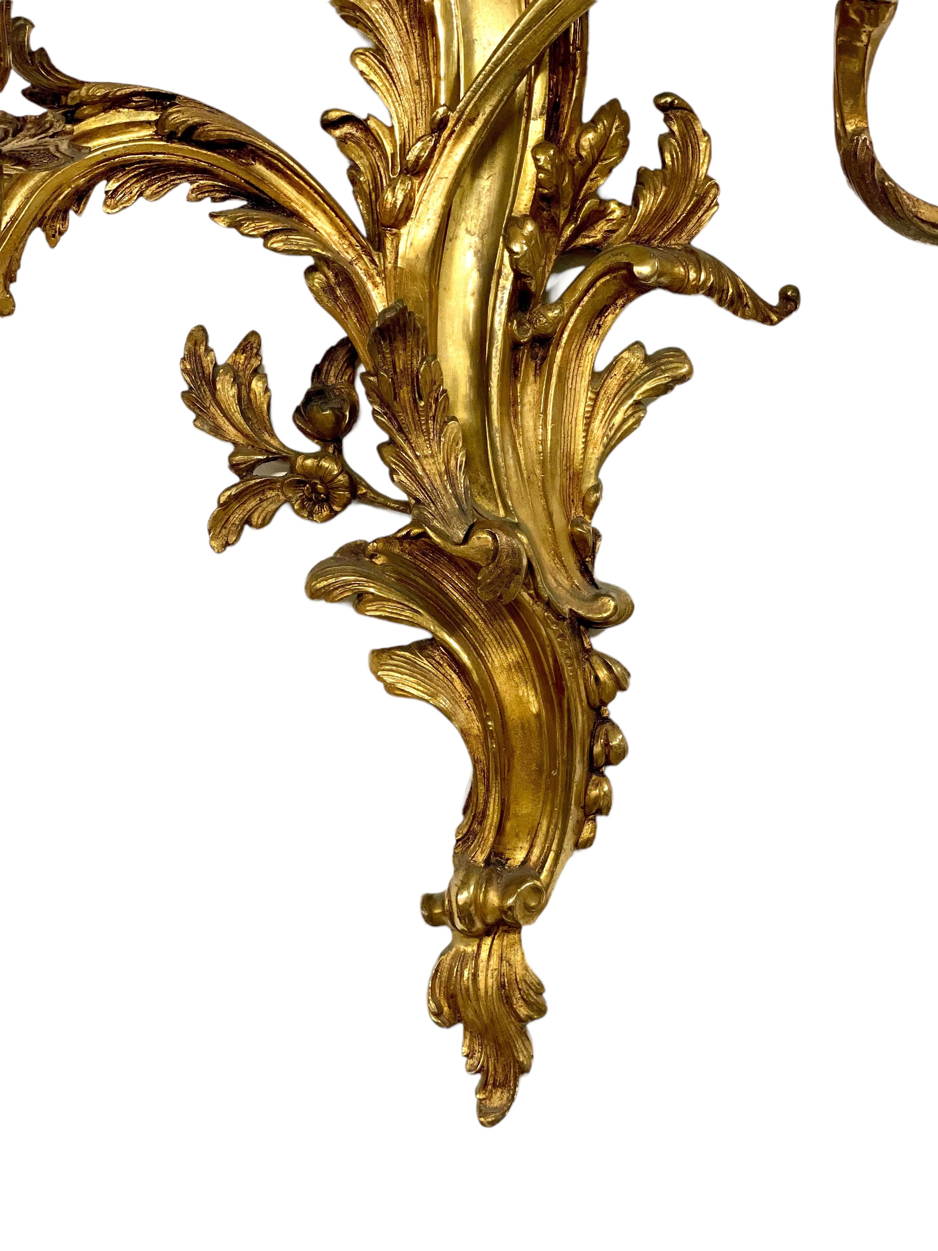 19th Century Pair of Large Louis XV Gilt Bronze Sconces For Sale 2