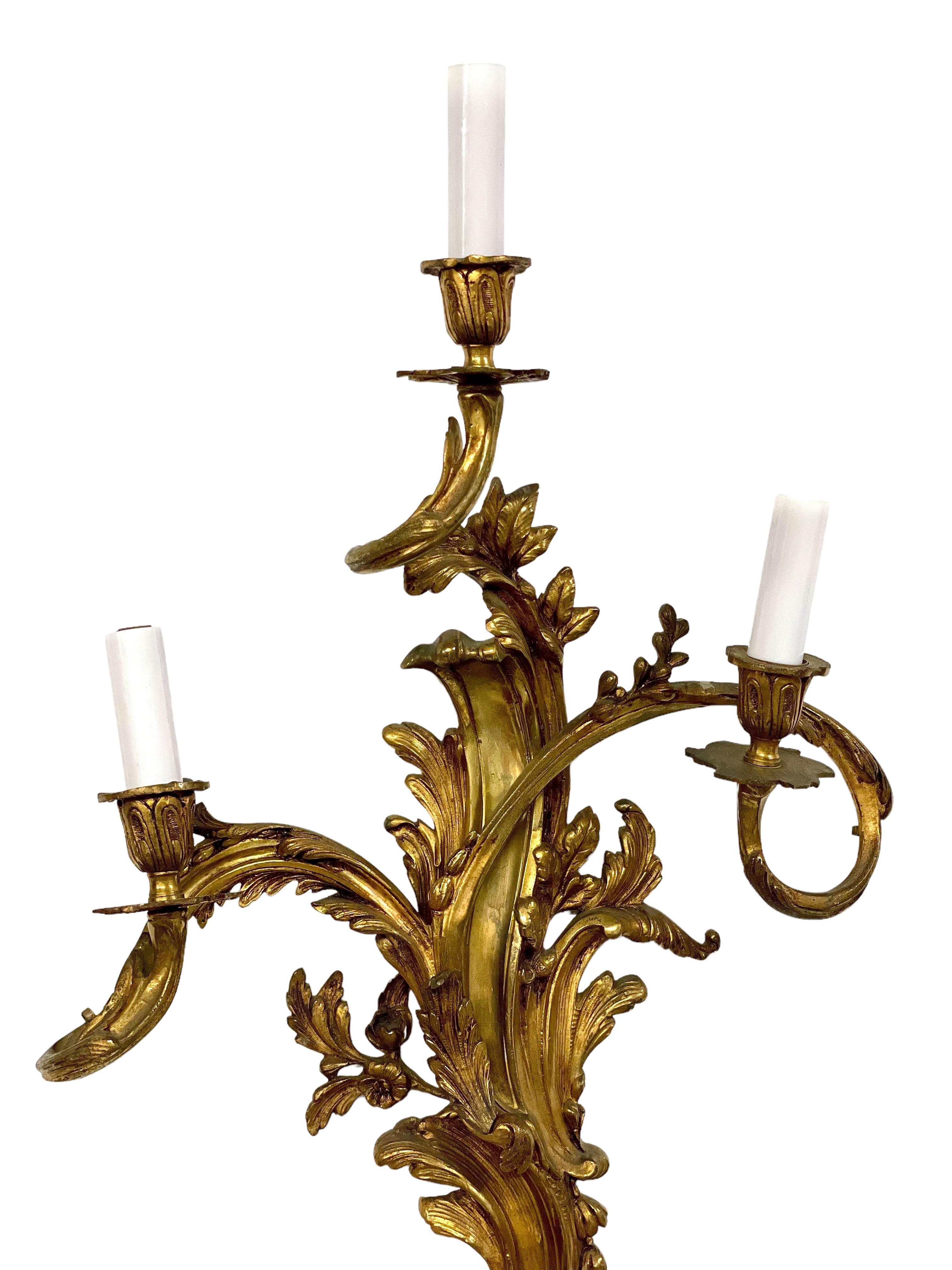 19th Century Pair of Large Louis XV Gilt Bronze Sconces For Sale 3