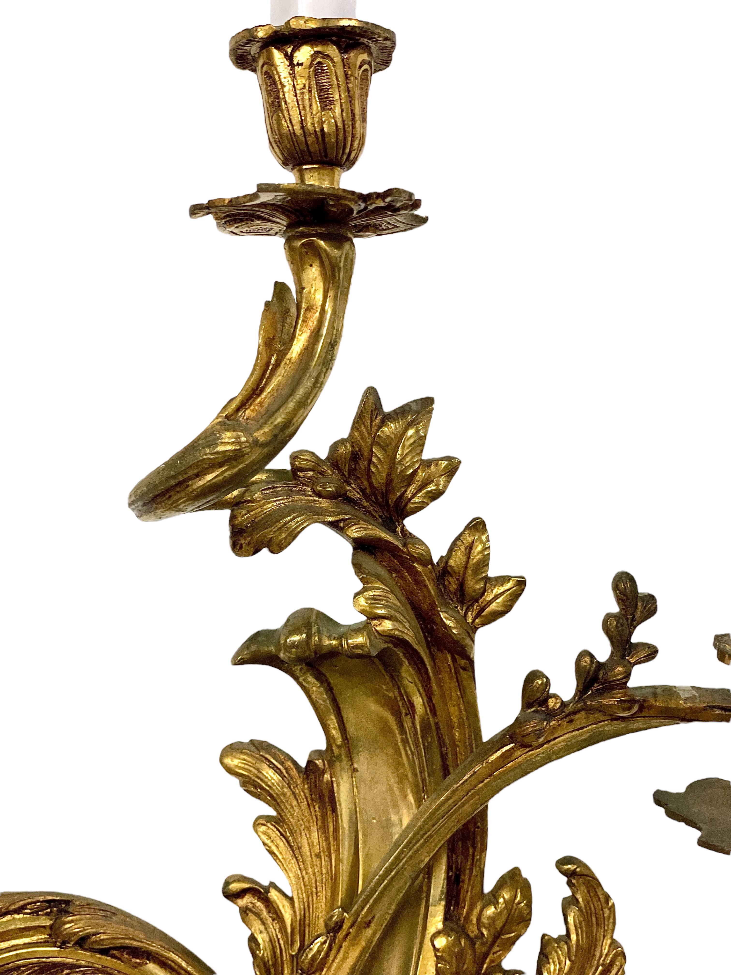 19th Century Pair of Large Louis XV Gilt Bronze Sconces For Sale 4