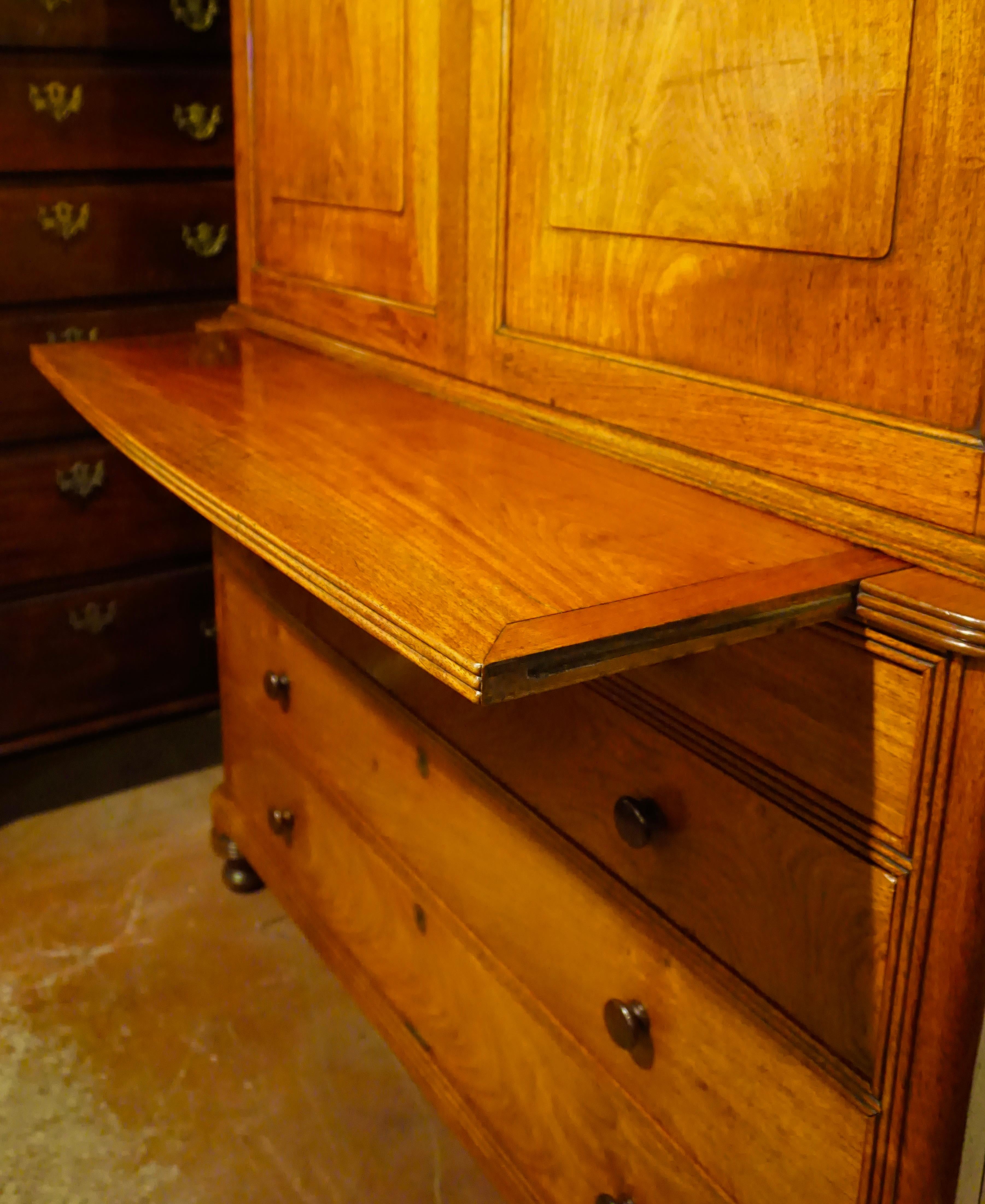 Schöner und seltener anglo-indischer Padouk-Holzschrank in zwei Abschnitten (William IV.) im Angebot