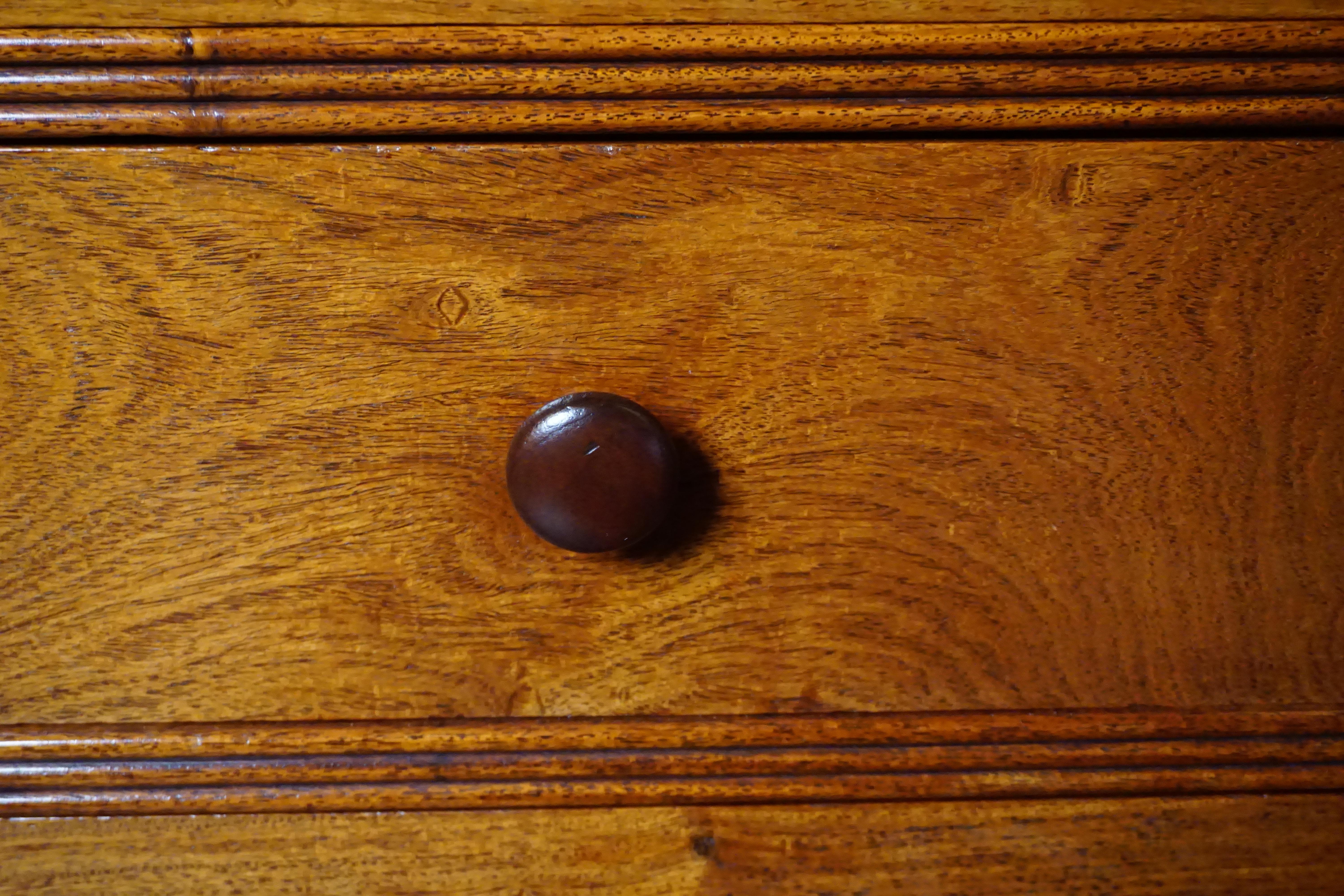 Fine and Rare Anglo-Indian Padouk Wood Cabinet in Two Sections For Sale 1