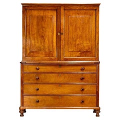 Fine and Rare Anglo-Indian Padouk Wood Cabinet in Two Sections