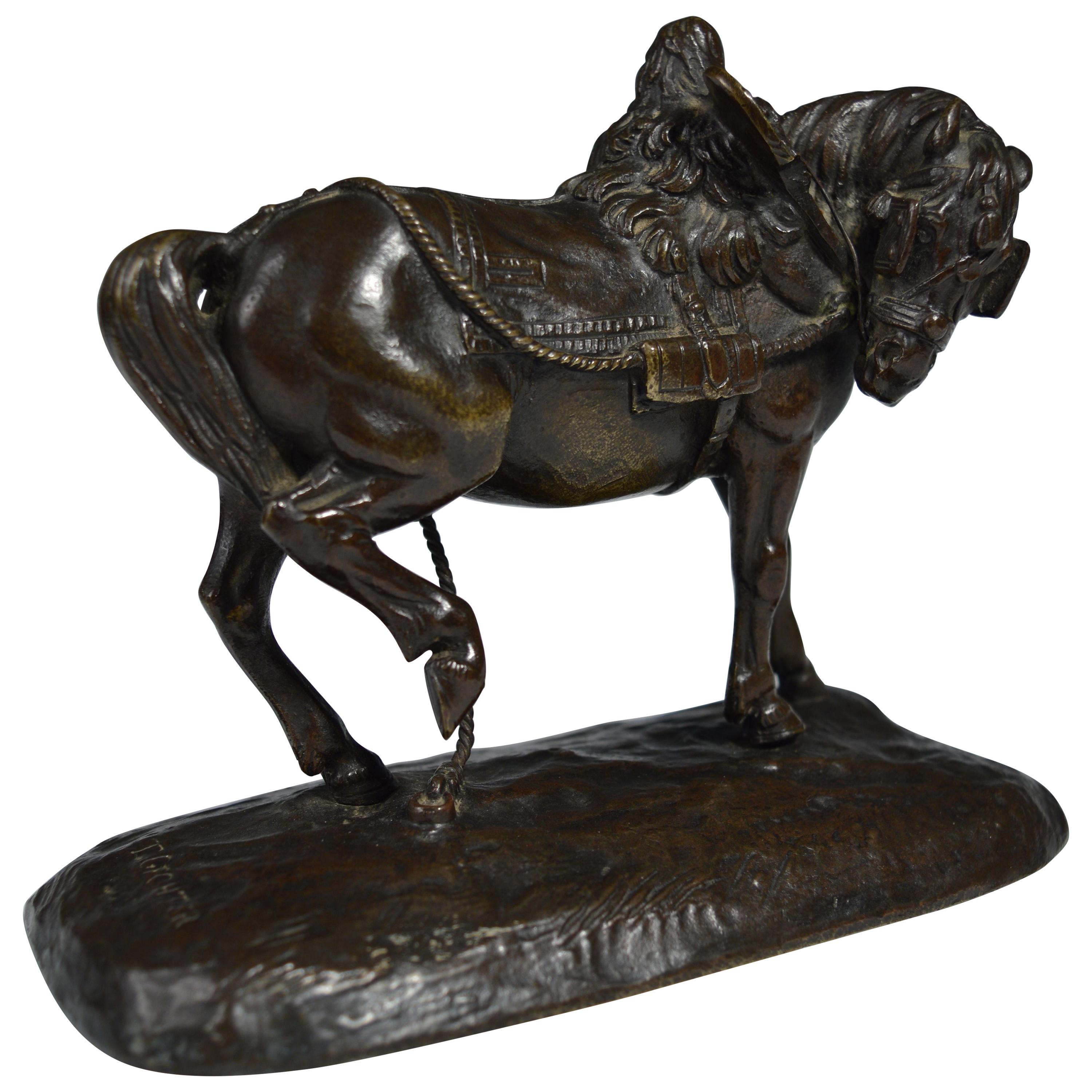 Fine and Small Antique Bronze of a Packhorse by T. Gechner For Sale