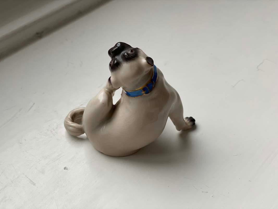 Small pug made of porcelain by Meissen from the middle of the 20th century. A fine and naturalistic depiction of a scratching pug with a blue collar. The porcelain is glazed white and painted in pastel tones.

Based on designs by Johann Joachim