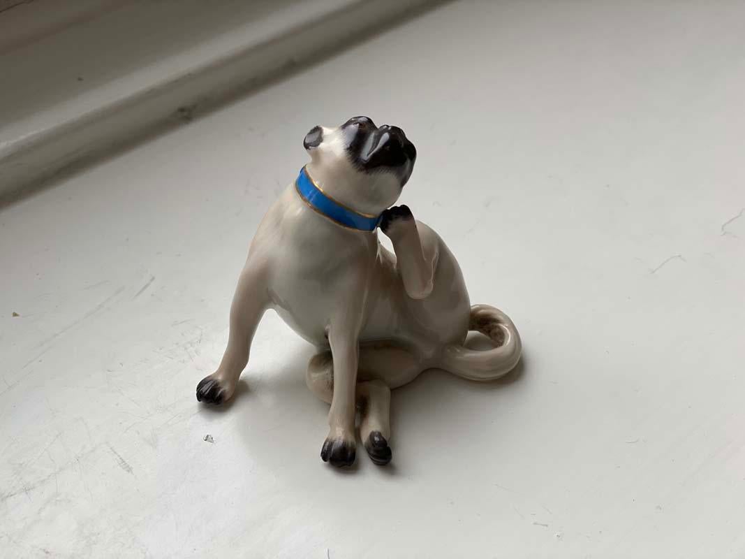 German Fine Animal Sculpture, Porcelain Pug Dog, Meissen Porcelain, Mid 20th Century
