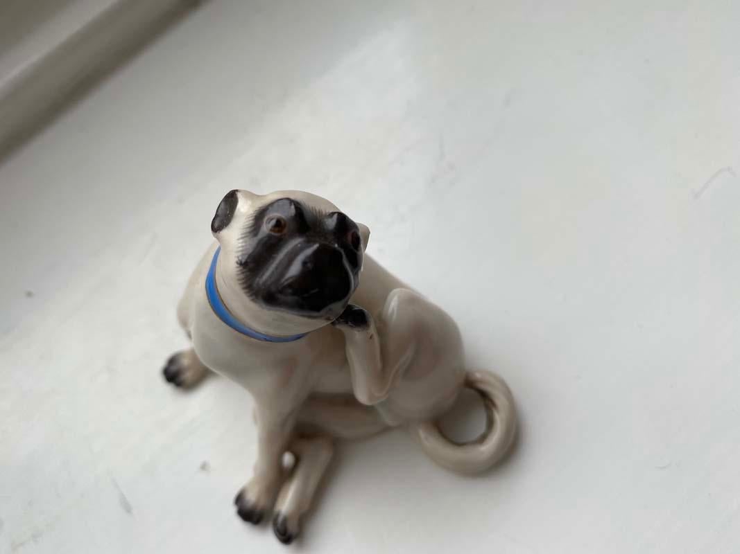 Glazed Fine Animal Sculpture, Porcelain Pug Dog, Meissen Porcelain, Mid 20th Century