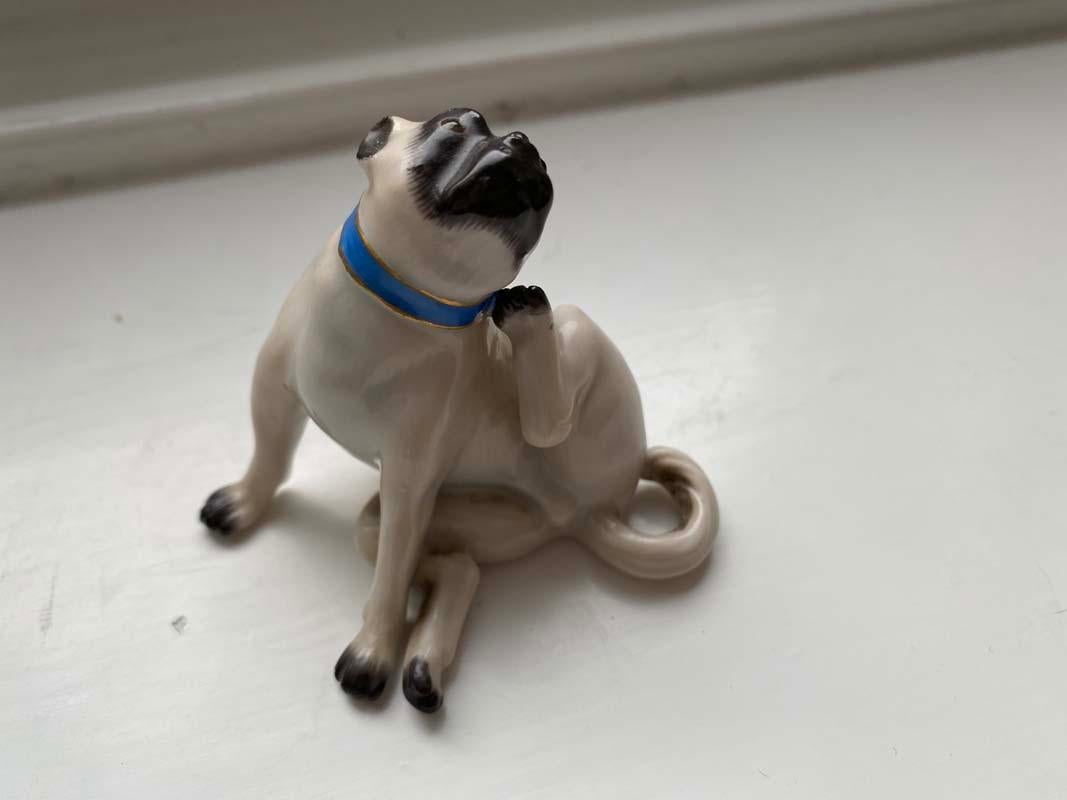 Mid-20th Century Fine Animal Sculpture, Porcelain Pug Dog, Meissen Porcelain, Mid 20th Century