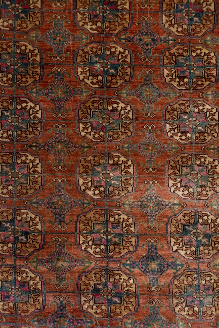 Fine Antique Afghan Bokara Rug, Red and Rust Allover Field, Blue Accents For Sale at 1stDibs