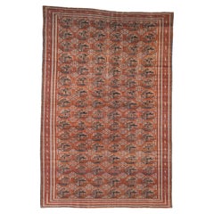 Tapis Beshir antique 9'5 x 14'5
