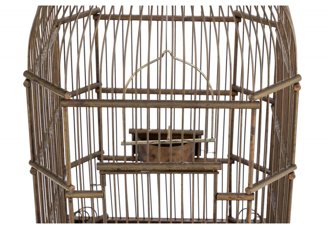 Antique brass bird cage with fine age patina and having a traditional arched form with a spring door with attached feeder, opposing door for entrance, pull out basin tray, stainless/nickel hanging swing/perch and resting on pad feet and crested with