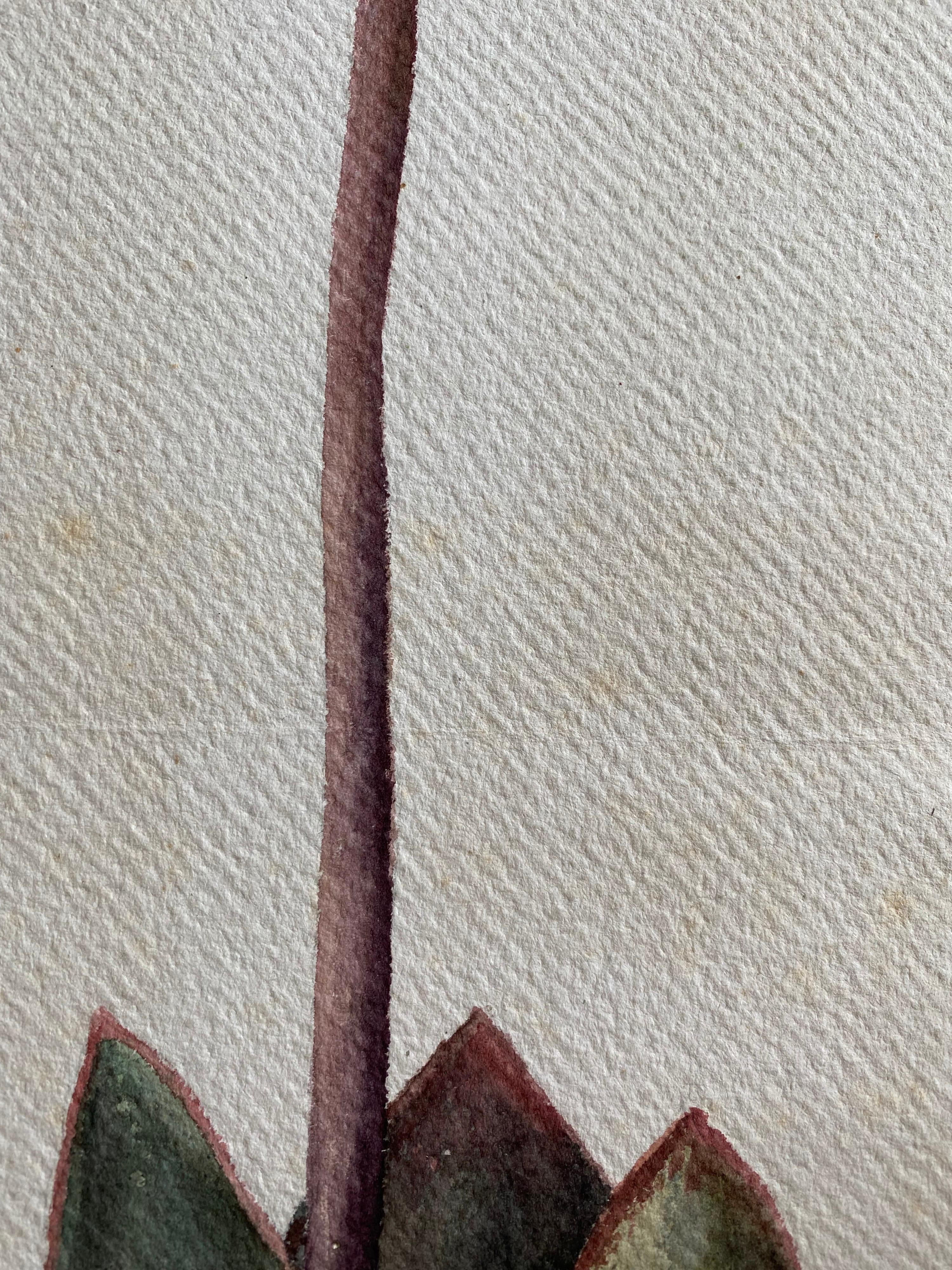 Belle peinture à l'aquarelle anglaise ancienne de fleurs botaniques, vers 1900 Bon état - En vente à Cirencester, GB