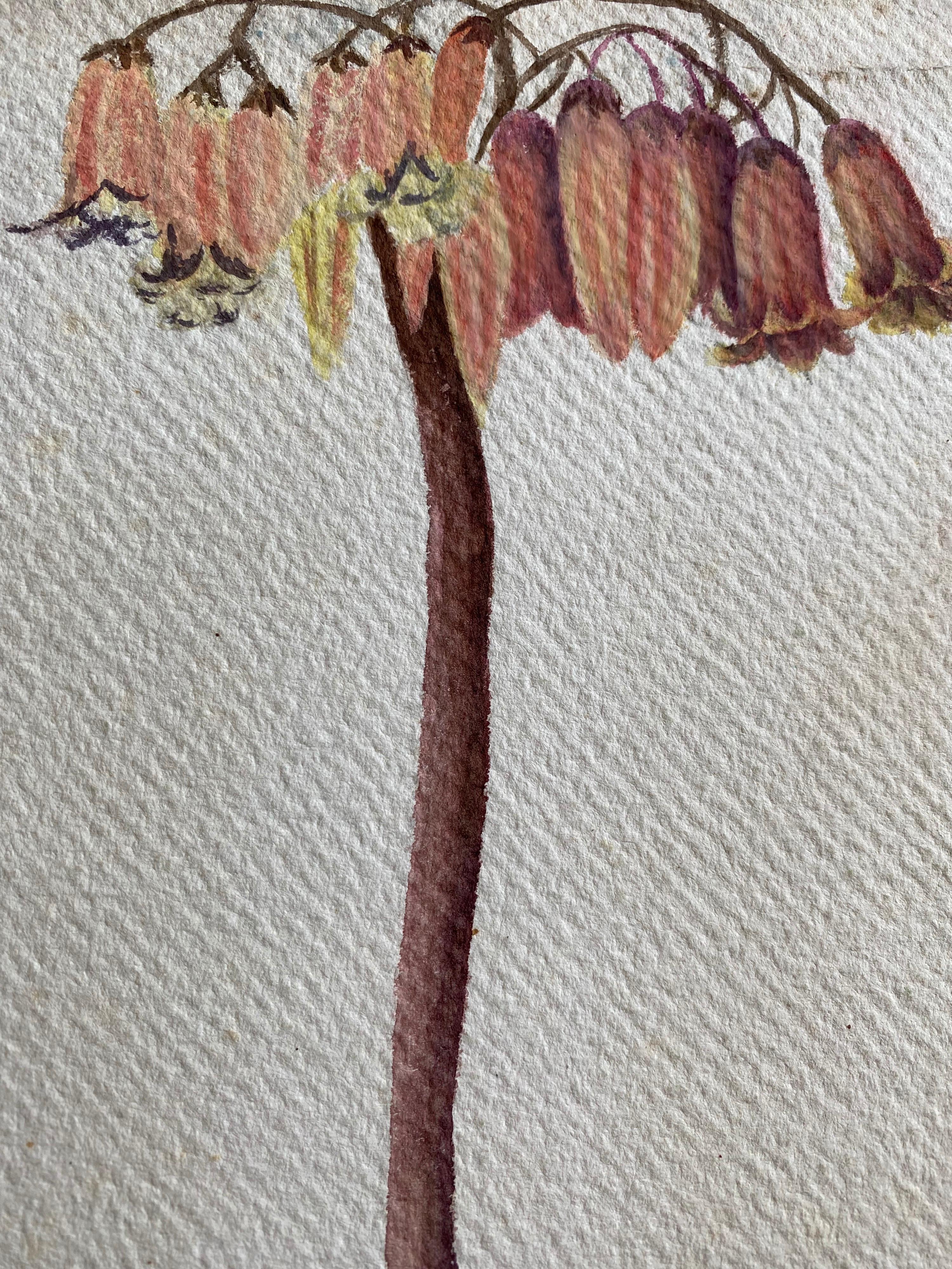 20ième siècle Belle peinture à l'aquarelle anglaise ancienne de fleurs botaniques, vers 1900 en vente