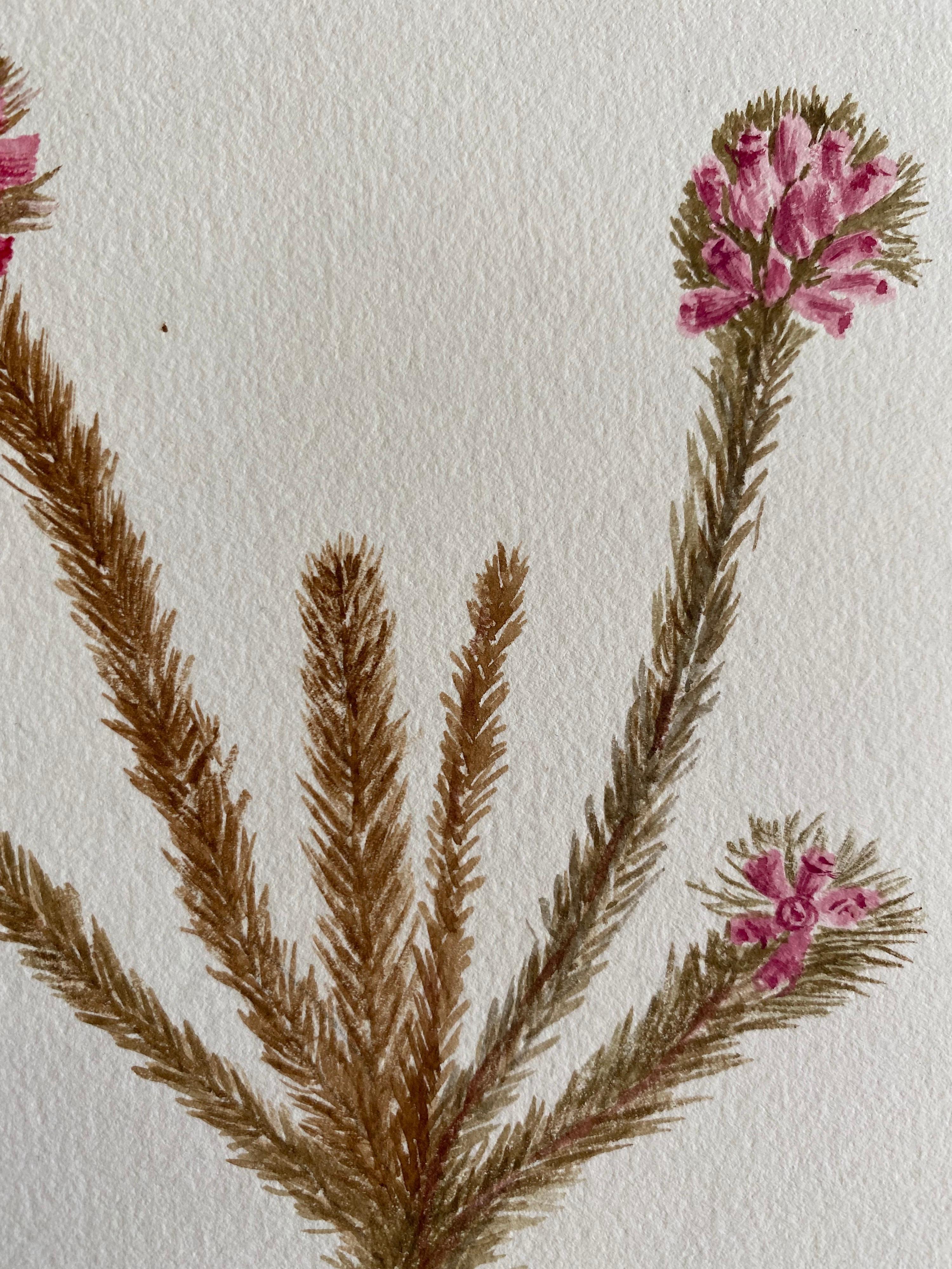 Feines antikes britisches botanisches Aquarell, circa 1900er Jahre (Viktorianisch) im Angebot