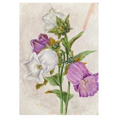 Antikes britisches Botanisches Aquarellgemälde, um 1900