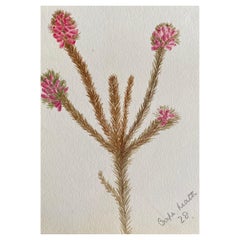 Feines antikes britisches botanisches Aquarell, circa 1900er Jahre