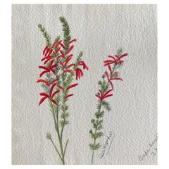 Antikes britisches Botanisches Aquarellgemälde, um 1900