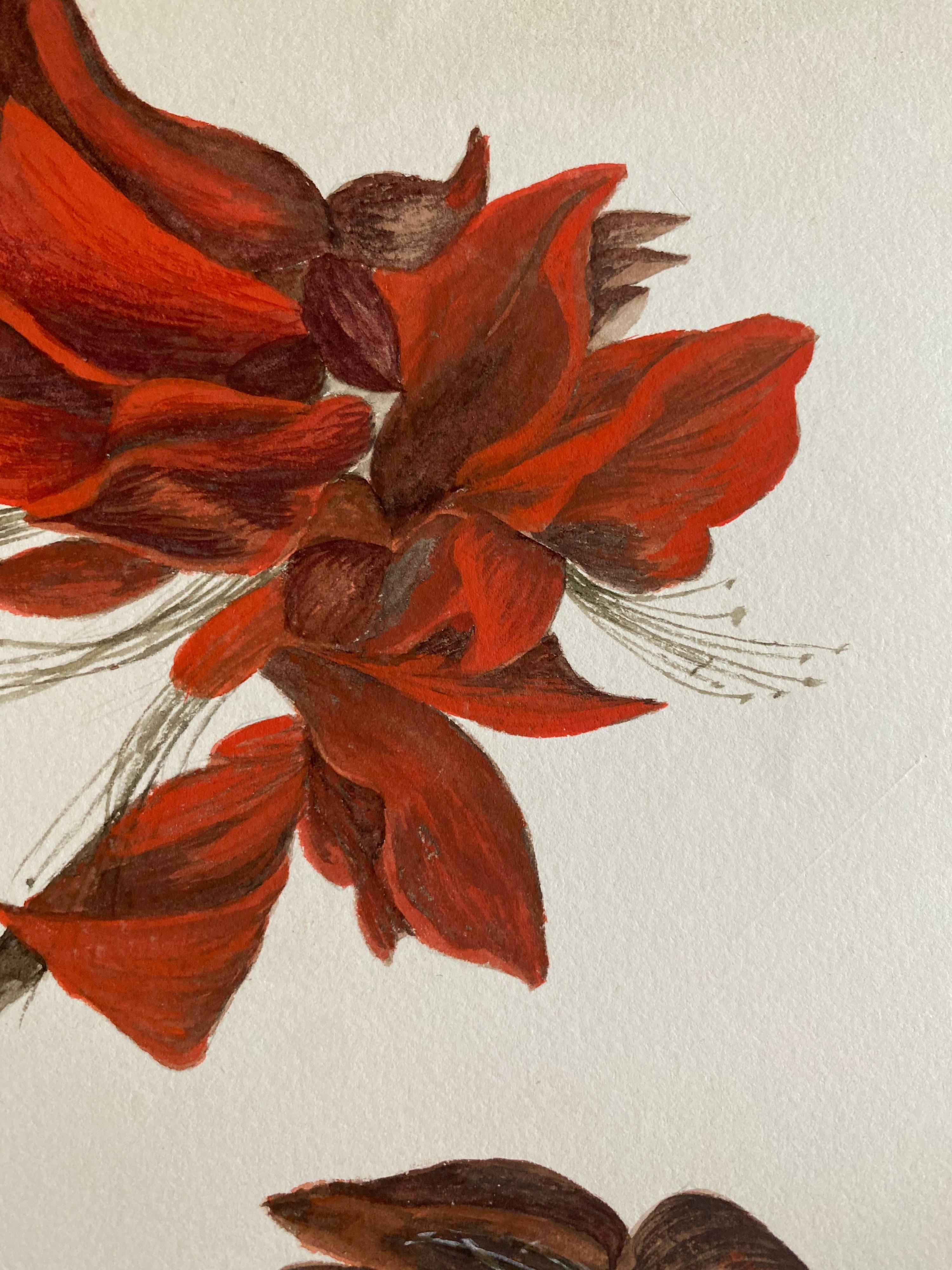 Victorian Fine Antique British Botannical Watercolour Painting, circa 1900's Red Flower For Sale