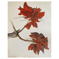 Belle aquarelle botanique britannique ancienne, circa 1900 Fleur rouge