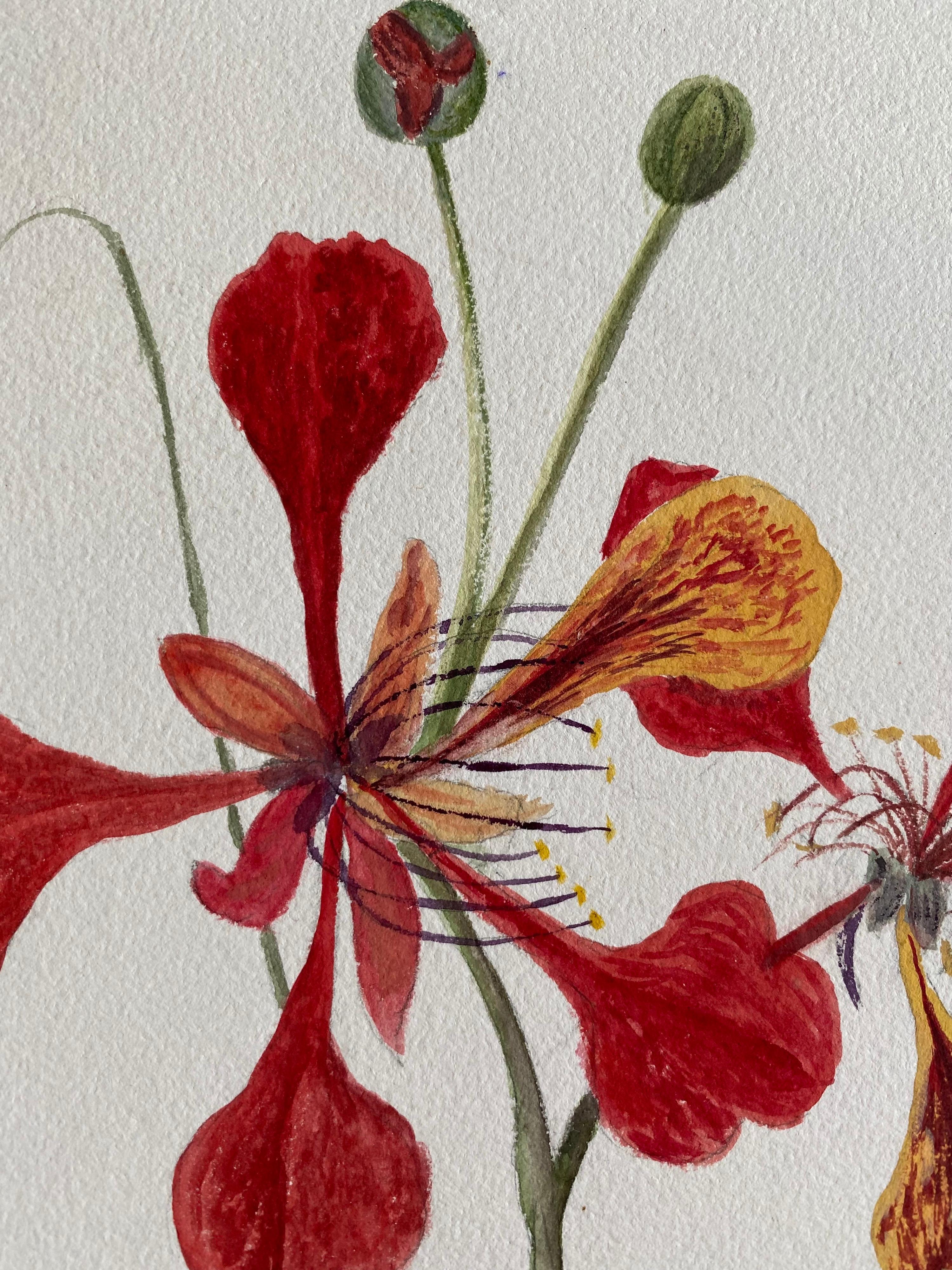 Victorien Belle peinture à l'aquarelle abstraite britannique ancienne de style bohémien, fleurs rouges des années 1900 en vente