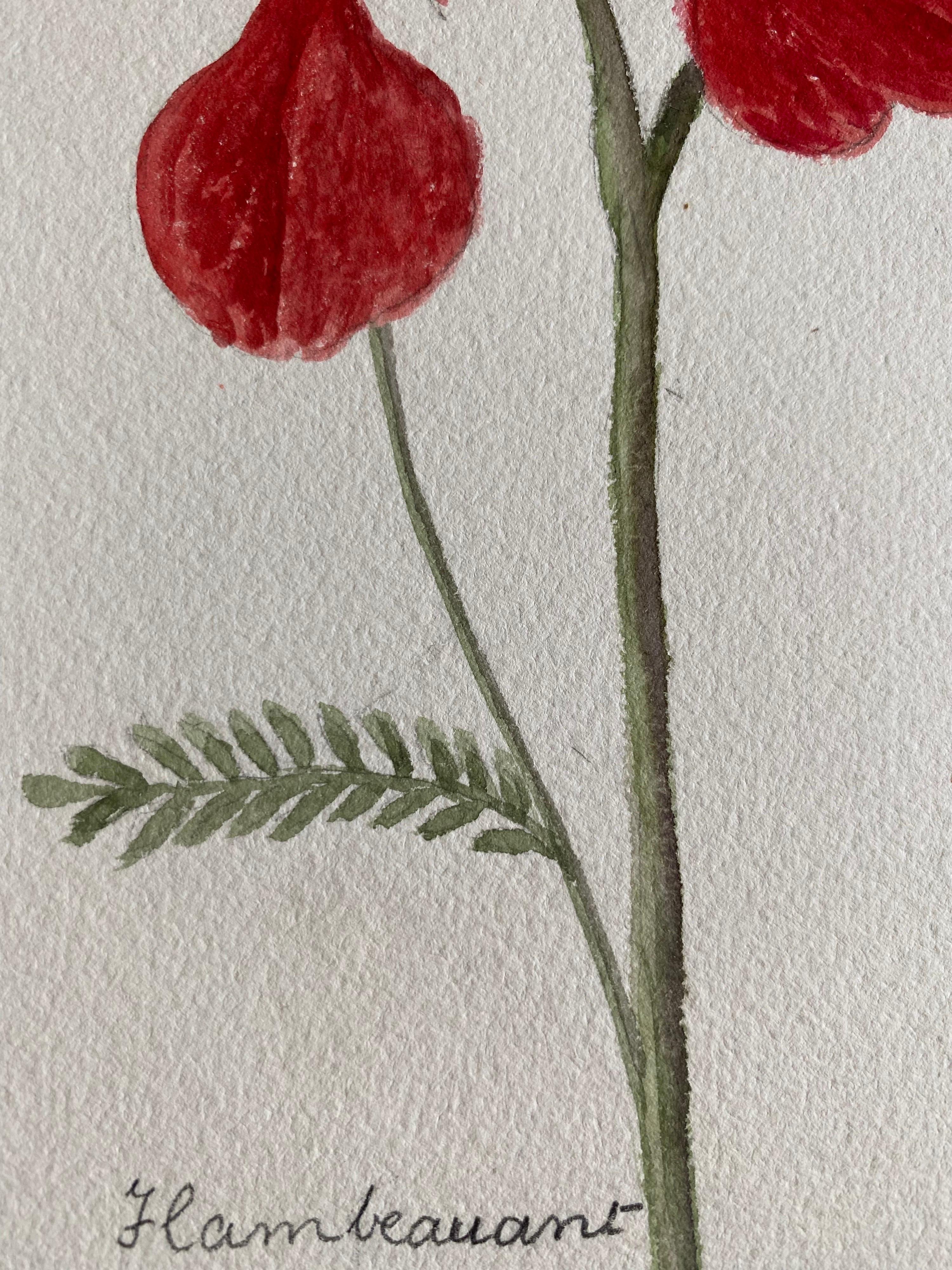20ième siècle Belle peinture à l'aquarelle abstraite britannique ancienne de style bohémien, fleurs rouges des années 1900 en vente