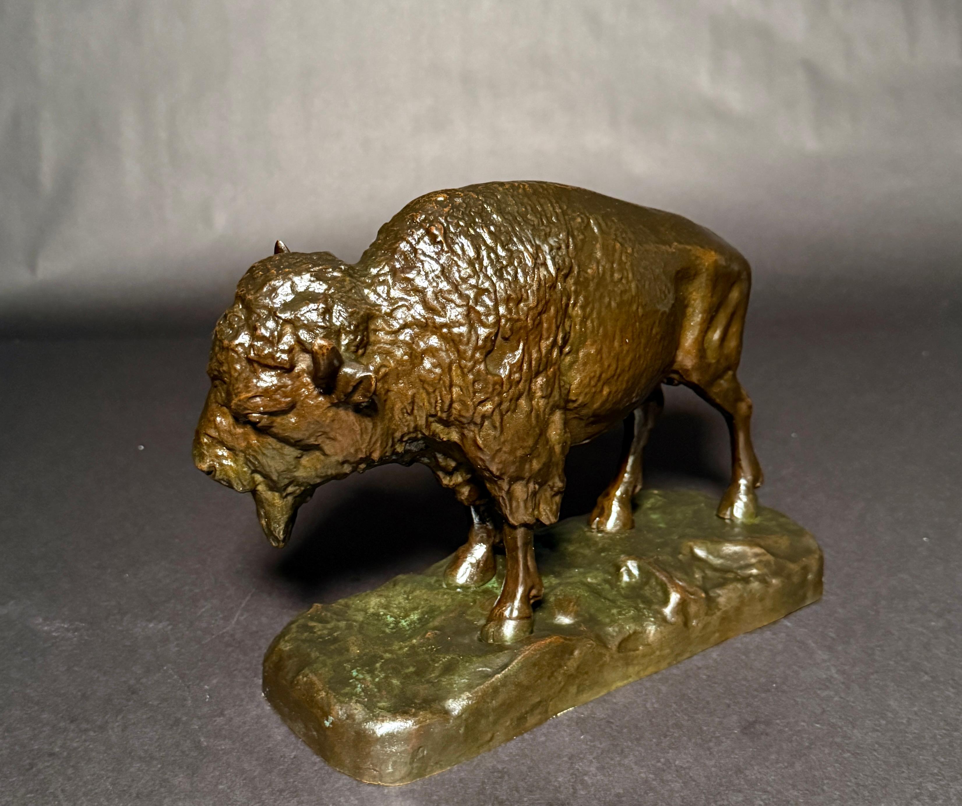 Cette sculpture en bronze finement travaillée représente un puissant bison d'Amérique dans une position naturaliste, capturant la masse, la texture et la présence caractéristiques de l'animal. Coulée dans un bronze massif à la patine riche et