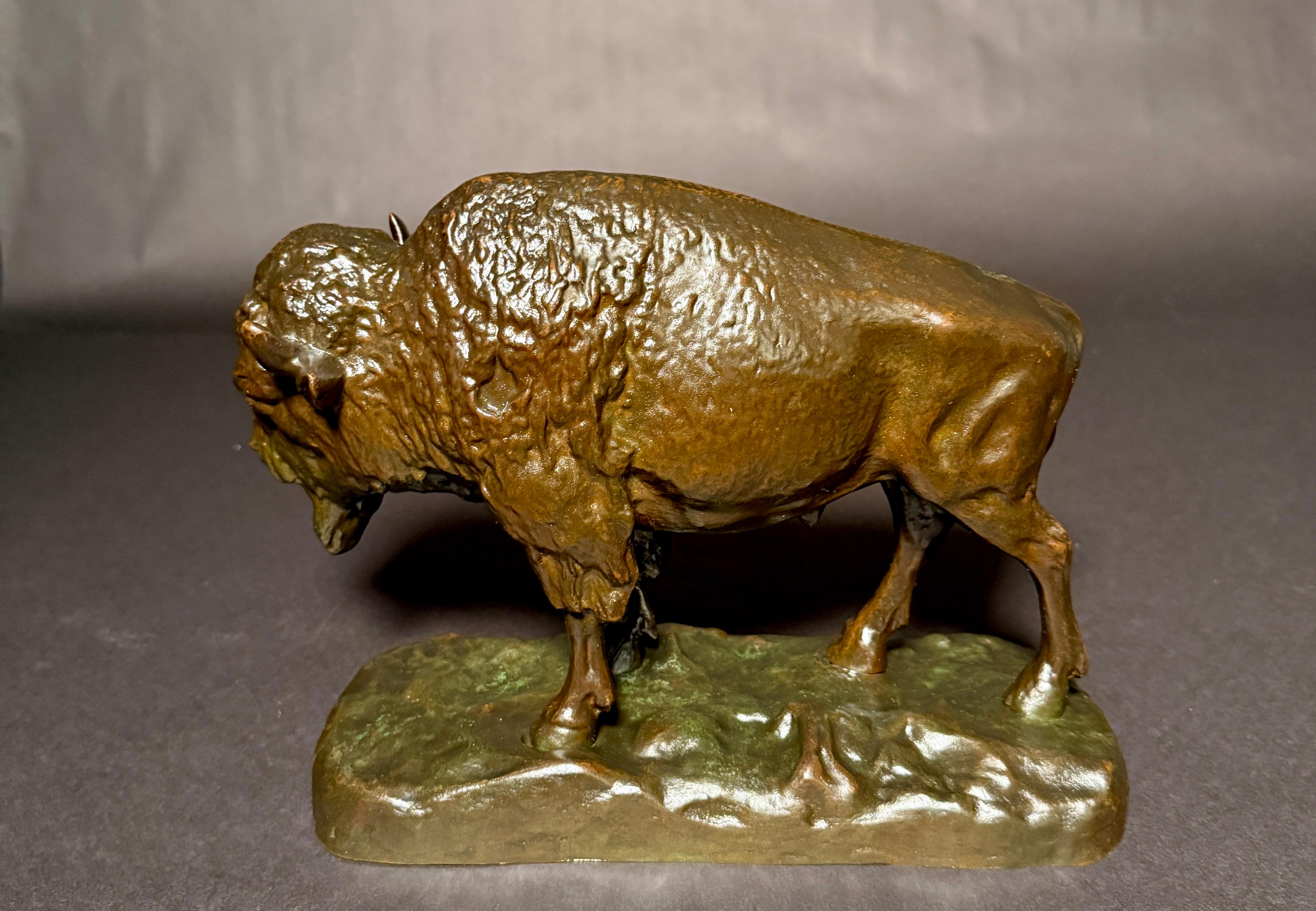 Américain Statue de bison en bronze antique - début 1900 Art de la faune et de la flore du bison américain en vente
