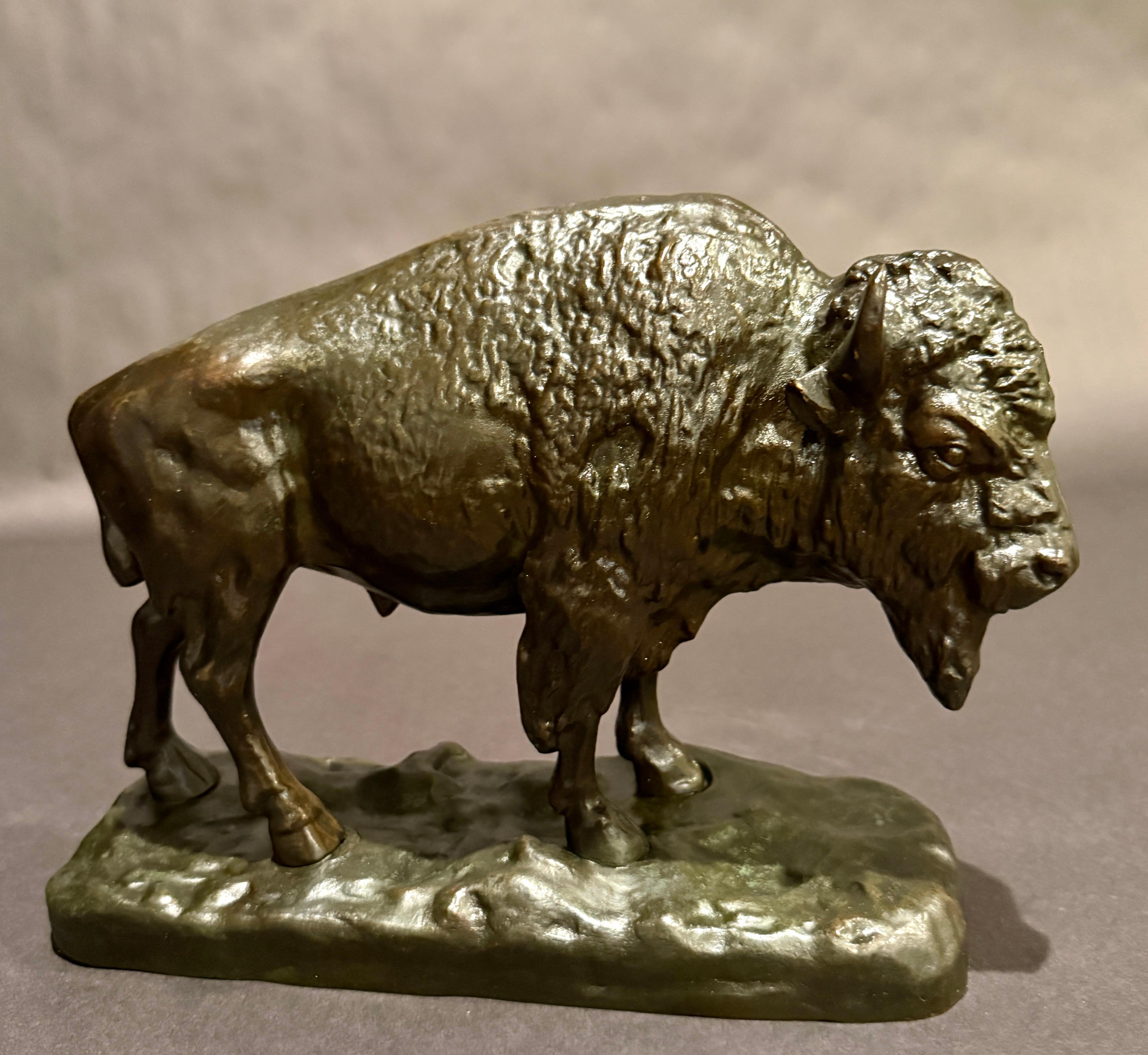 Statue de bison en bronze antique - début 1900 Art de la faune et de la flore du bison américain en vente 1