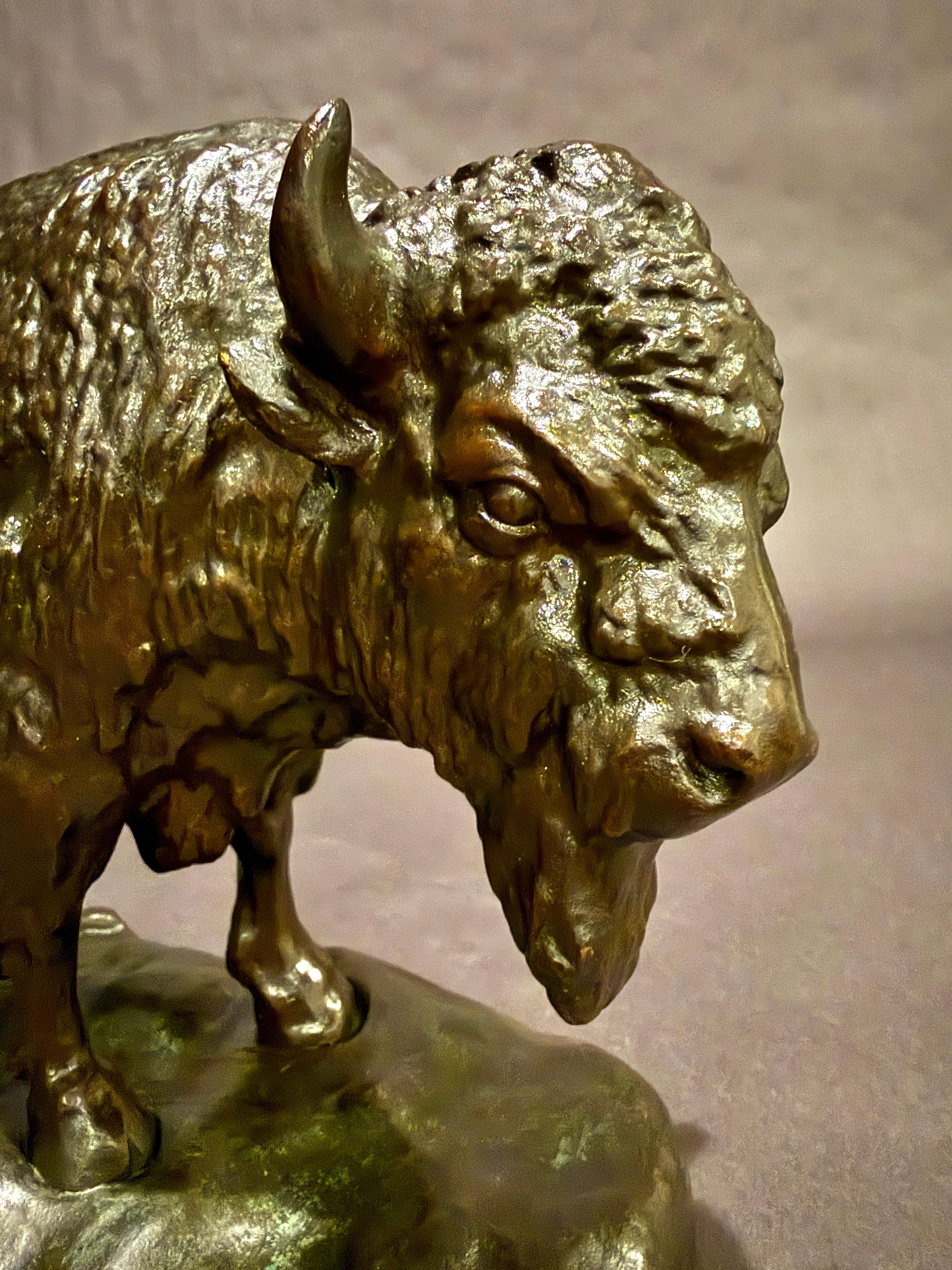Statue de bison en bronze antique - début 1900 Art de la faune et de la flore du bison américain en vente 2