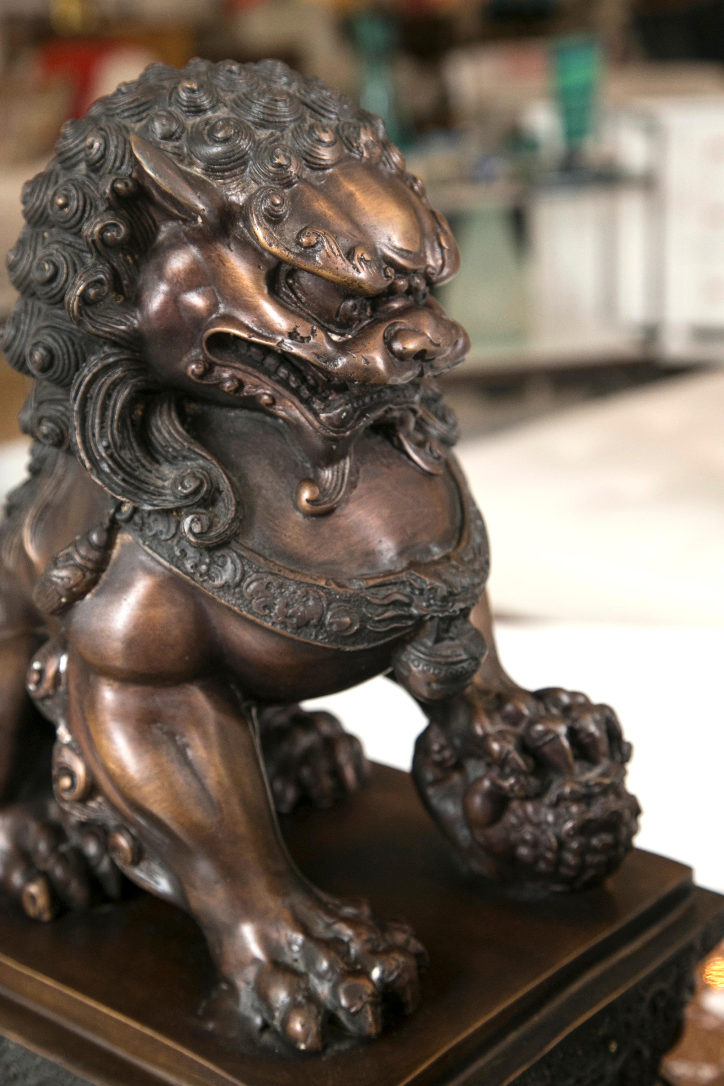 Fine Antique Bronze Foo Lion / Dog, Pair 3