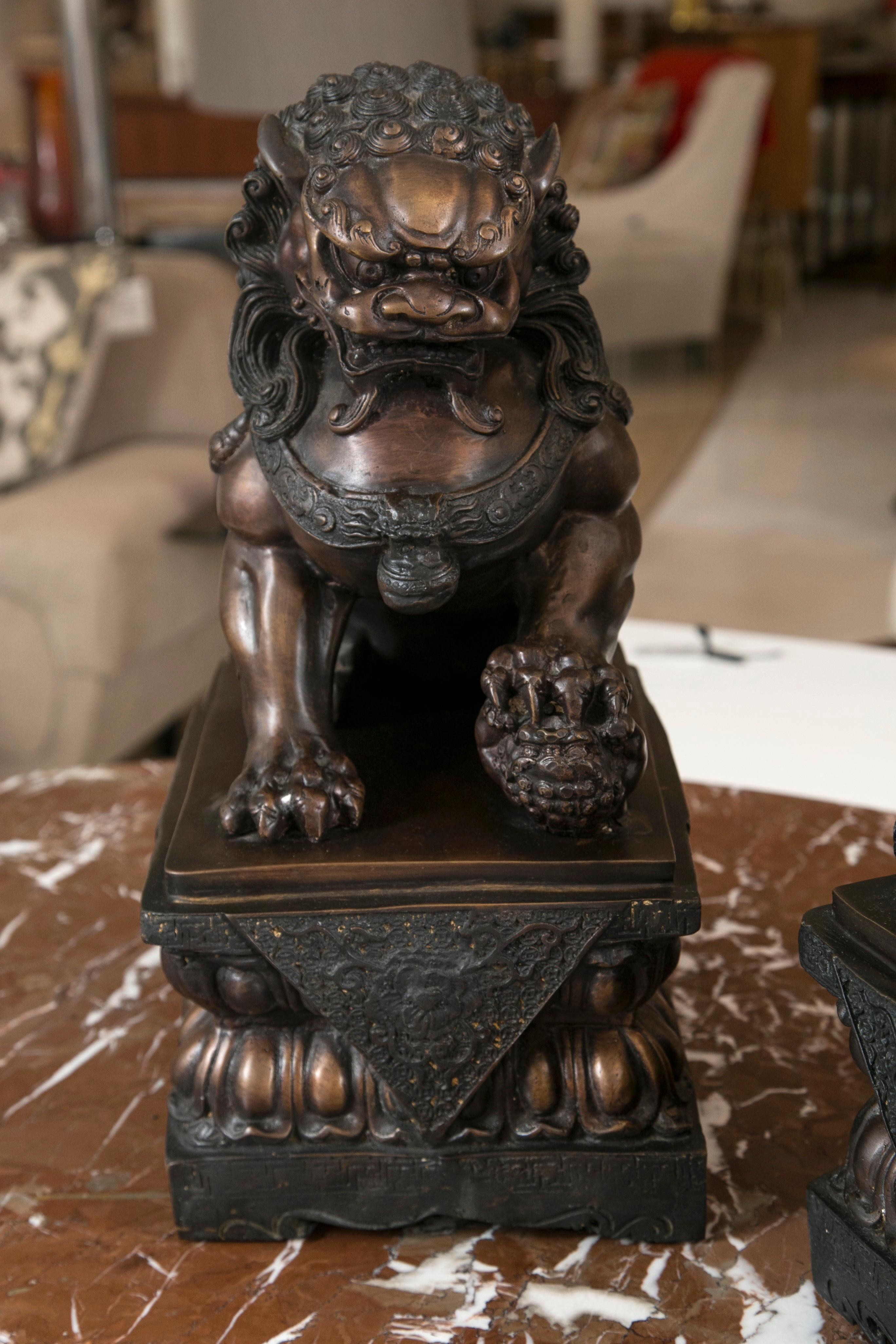 Tibétain Lion/chien en bronze antique, paire