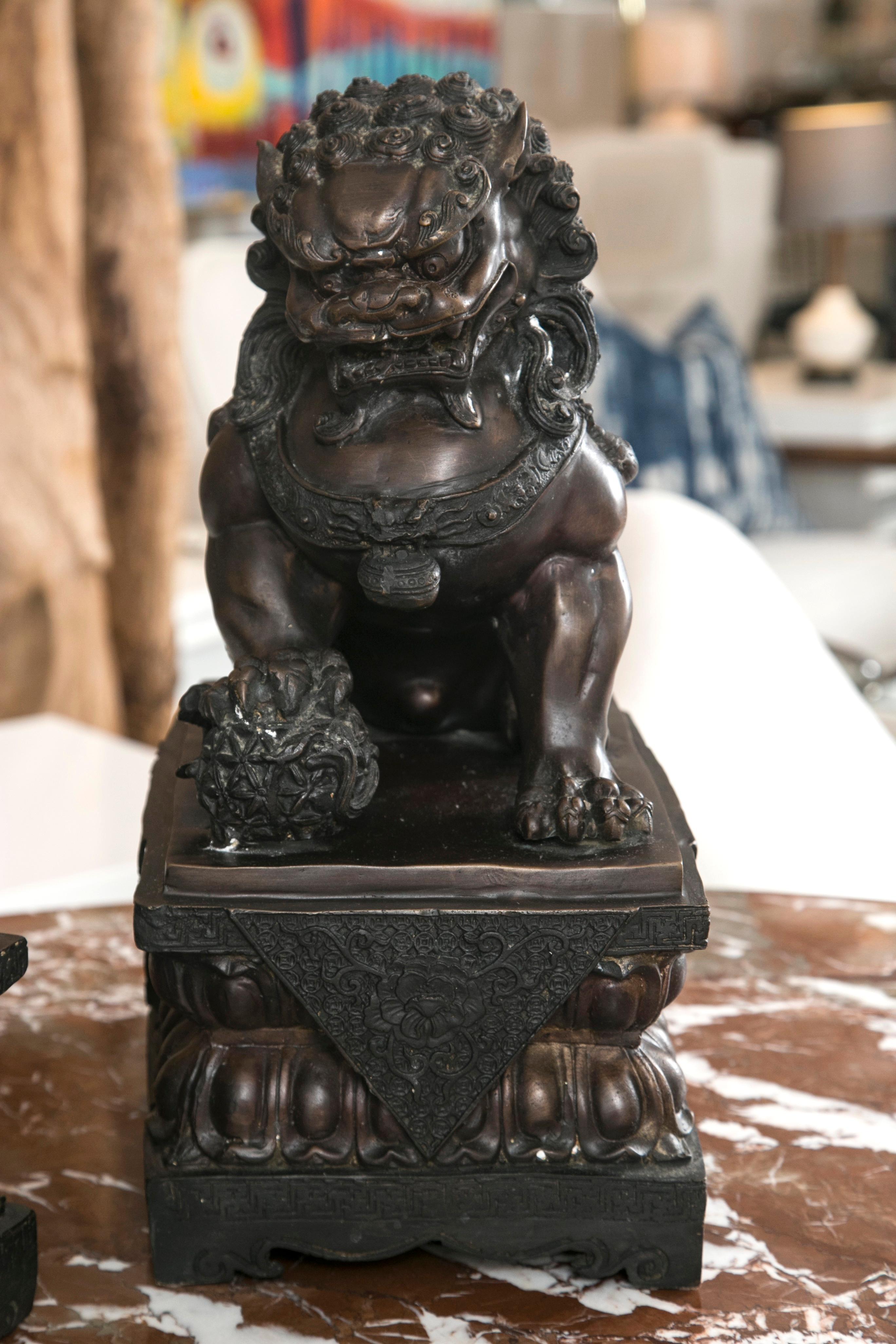 Tibétain Lion/chien en bronze antique, paire