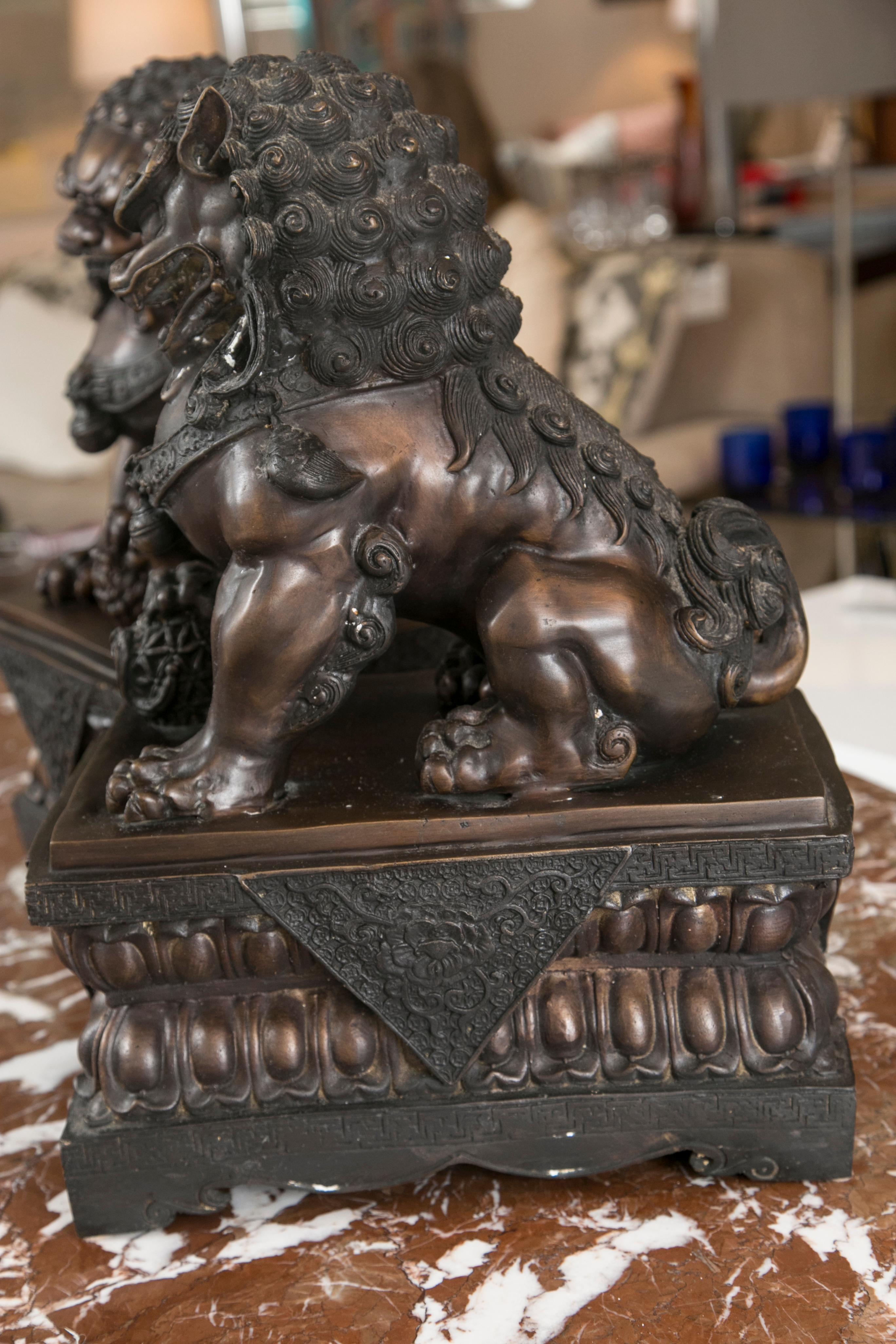 Fine Antique Bronze Foo Lion / Dog, Pair 1