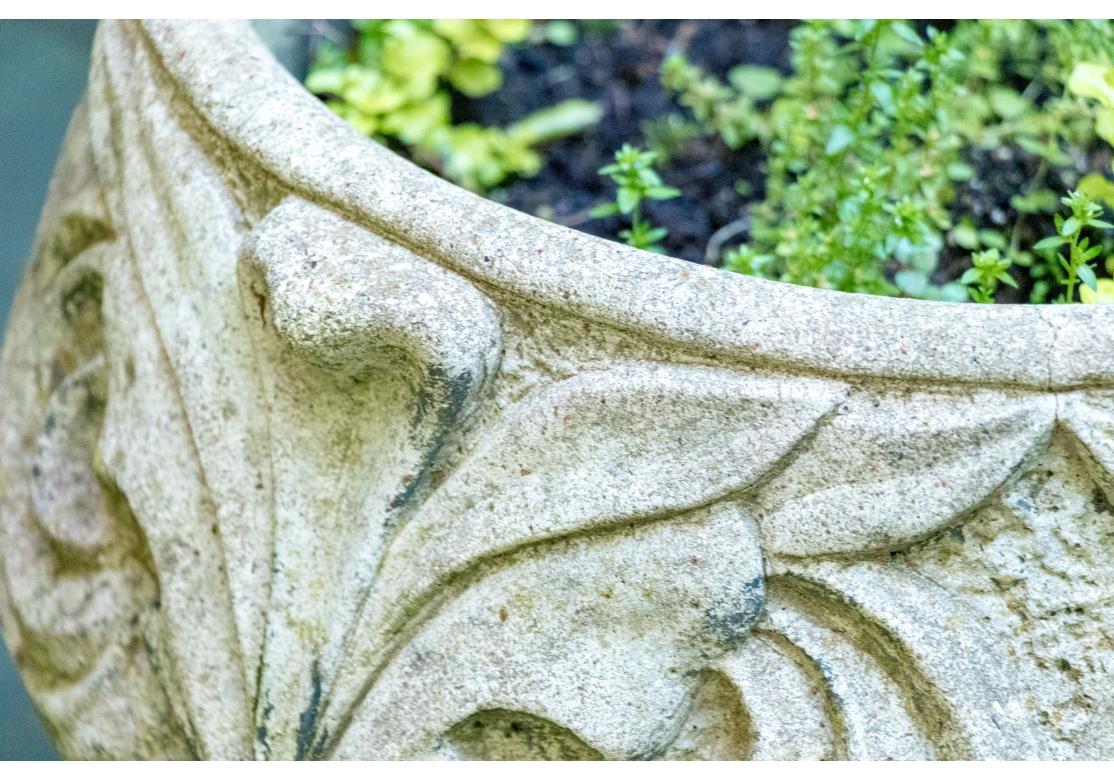 Une belle jardinière ancienne en pierre moulée avec une forme inhabituelle de gobelet et des motifs de feuillage et de volutes profondément taillés en relief.

Dimensions : 19