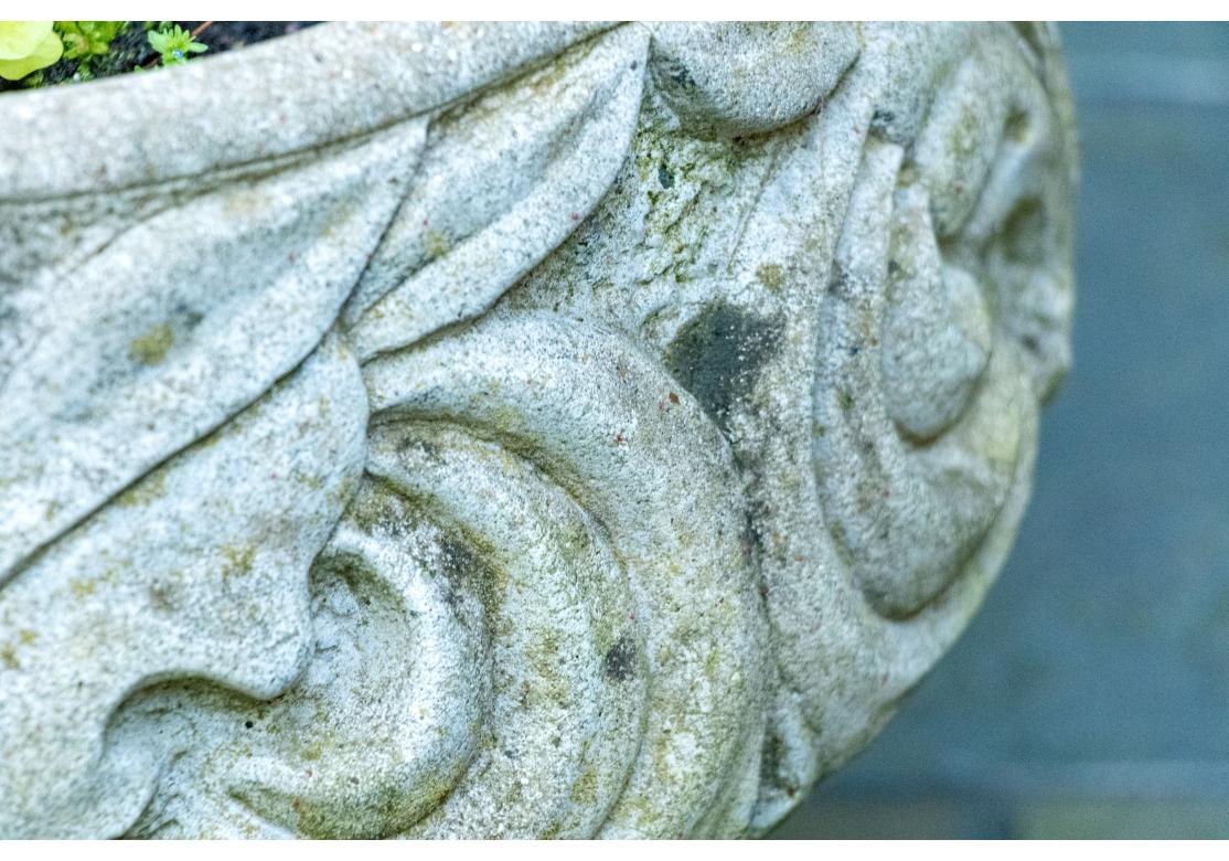 XIXe siècle Belle jardinière ancienne en pierre moulée sur pied en vente