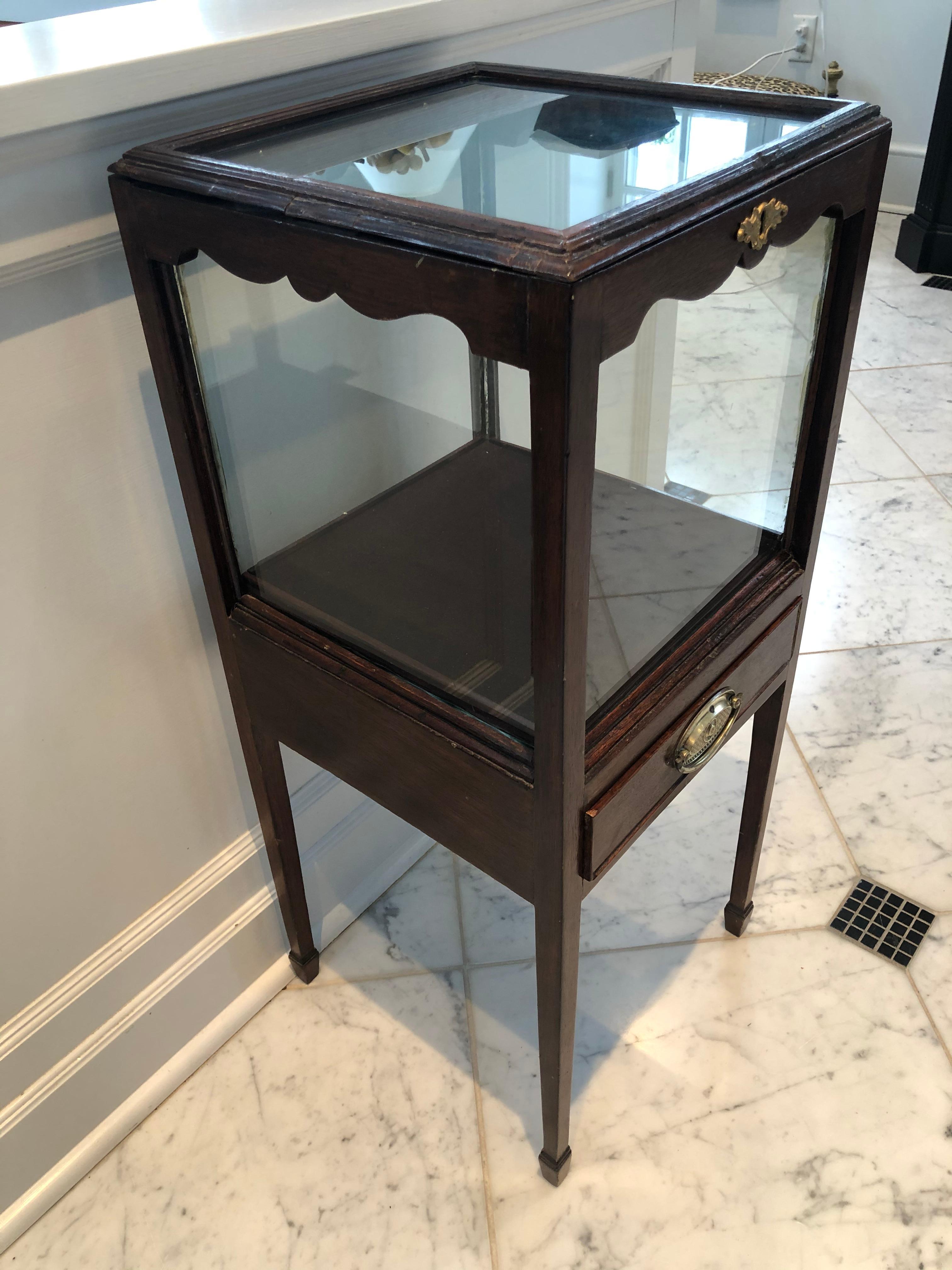 English Fine Antique Four Sided Glass Vitrine For Sale