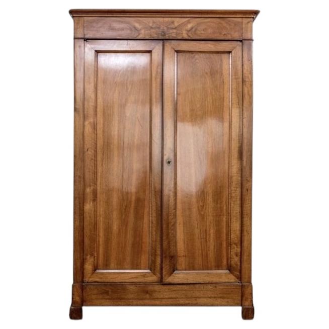 Fine Antique French Louis Philippe Cherry Armoire Custom Fitted As A Bar Cabinet