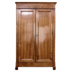Fine Antique French Louis Philippe Cherry Armoire Custom Fitted As A Bar Cabinet
