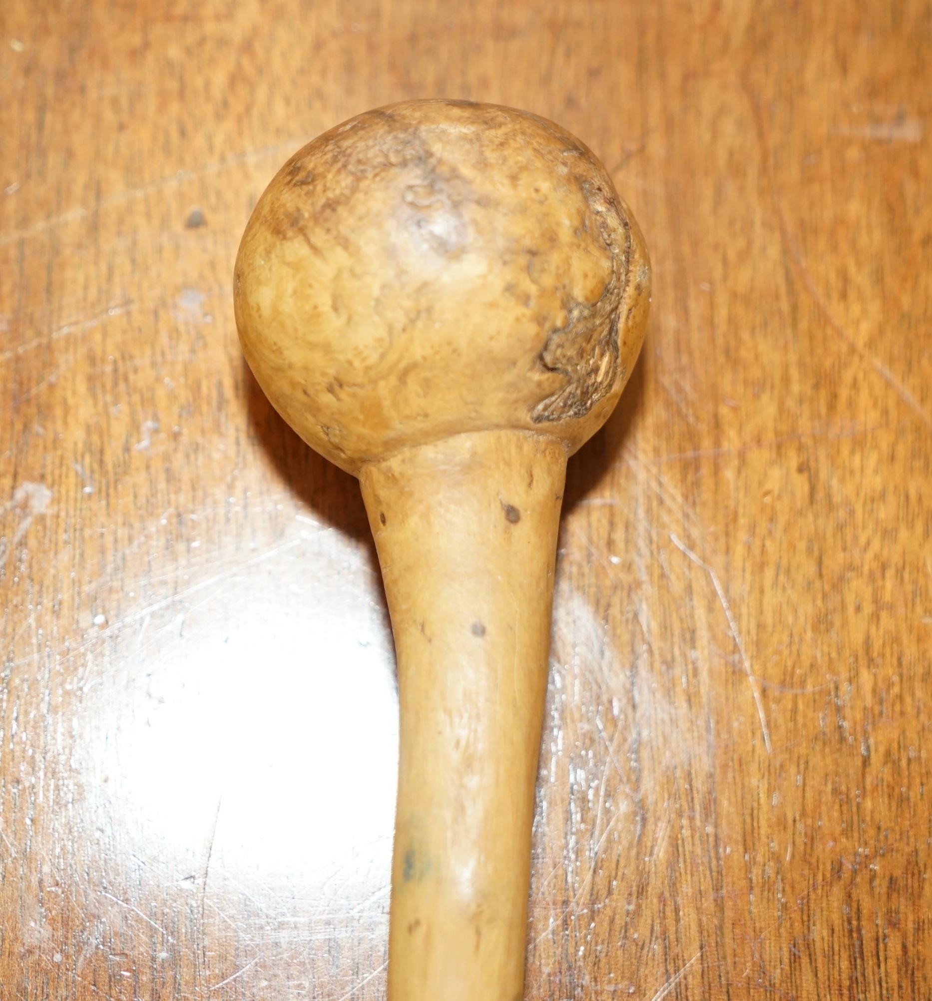 Fino Palo Antiguo Irlandés Knobkerrie Muy Coleccionable y Primativo Uno de Dos en venta 5