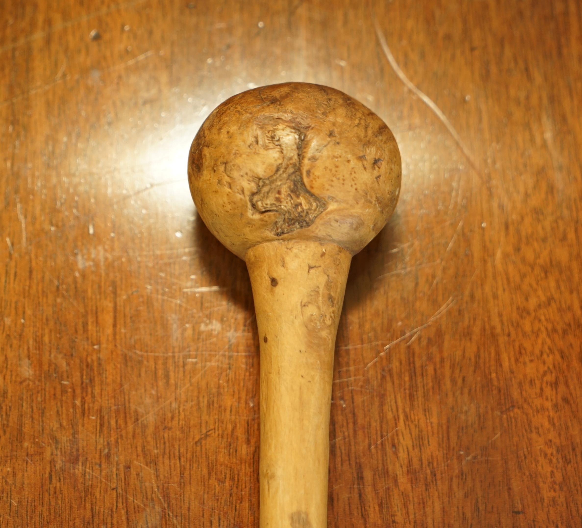 Fino Palo Antiguo Irlandés Knobkerrie Muy Coleccionable y Primativo Uno de Dos en venta 8