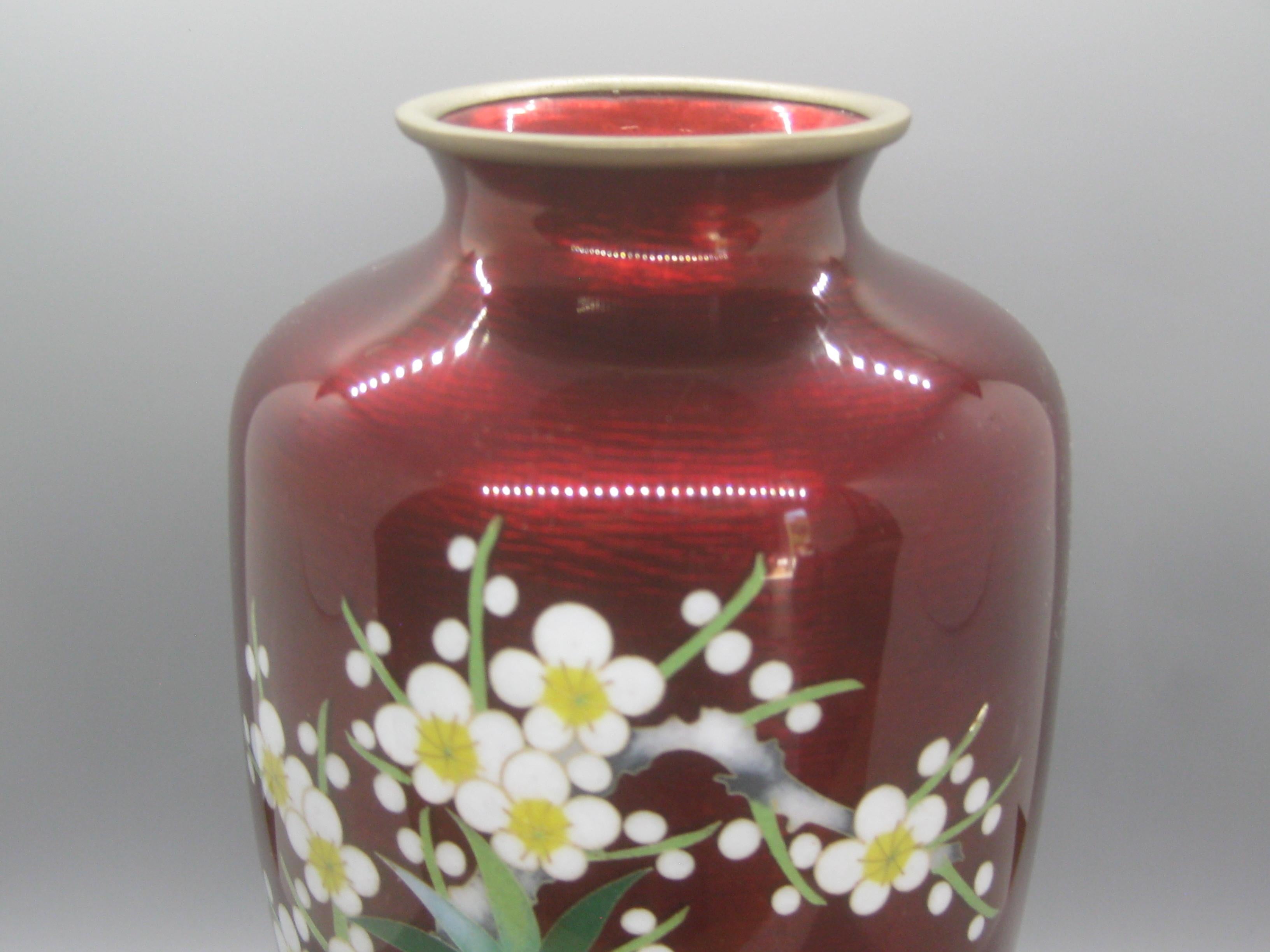 Fine et ancienne vase en émail cloisonné japonais Ginbari sang de pigeon. Vase de haute qualité et bien fait. Il date du milieu des années 1900. De belles fleurs colorées de chrysanthèmes et autres. Sur un fond vert pâle. En excellent état vintage,
