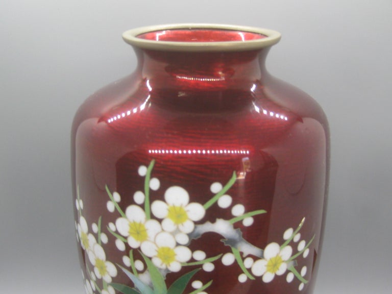 Fine antique Japanese Cloisonne Ginbari pigeon blood enamel vase. High quality vase and made well. Dates from the mid part of the 1900's. Beautiful colorful chrysanthemum flowers and more. with a pale green background. In excellent vintage condition