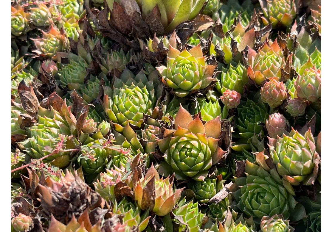 Provincial français Belle urne de jardin ancienne en marbre en forme de Mortar en vente