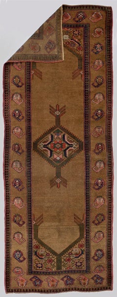 Fine Antique NW Persian Camel Hair Rug 3'8" x 9’8”