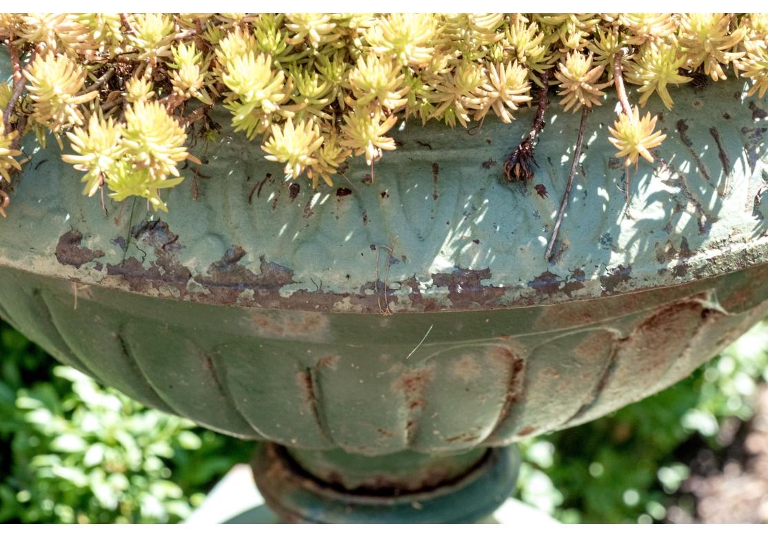 Paire d'urnes de jardin en fonte peinte sur socle en vente 2