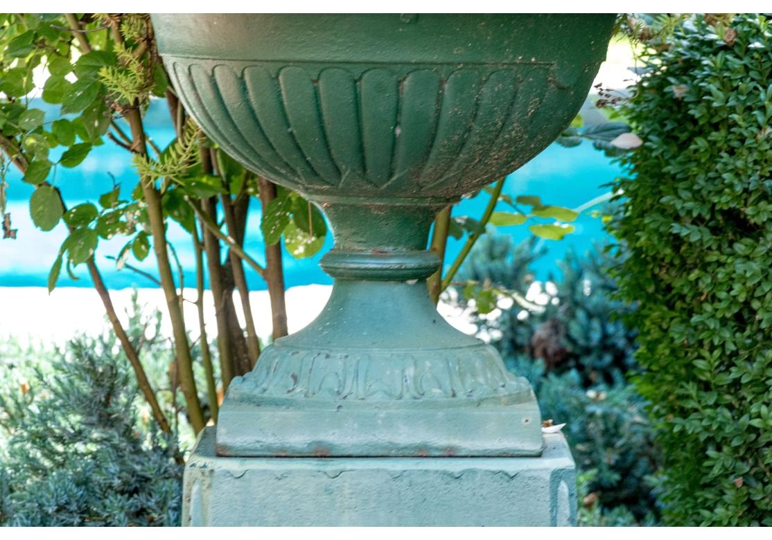 Paire d'urnes de jardin en fonte peinte sur socle en vente 3