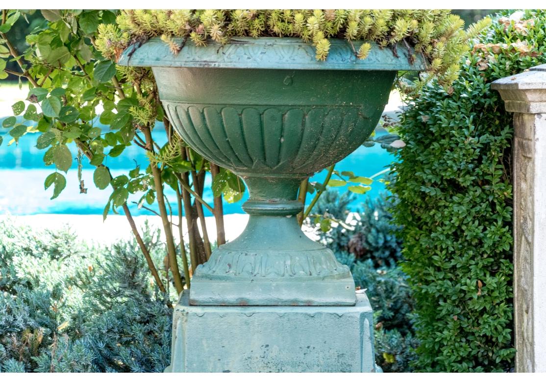 Moulage Paire d'urnes de jardin en fonte peinte sur socle en vente