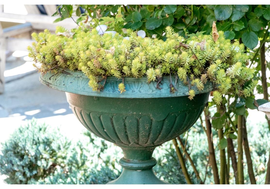 Fer Paire d'urnes de jardin en fonte peinte sur socle en vente